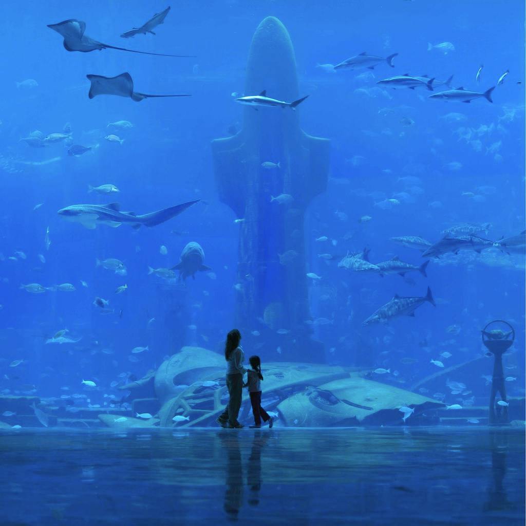 Go Diving or Snorkeling in the Ambassador Lagoon