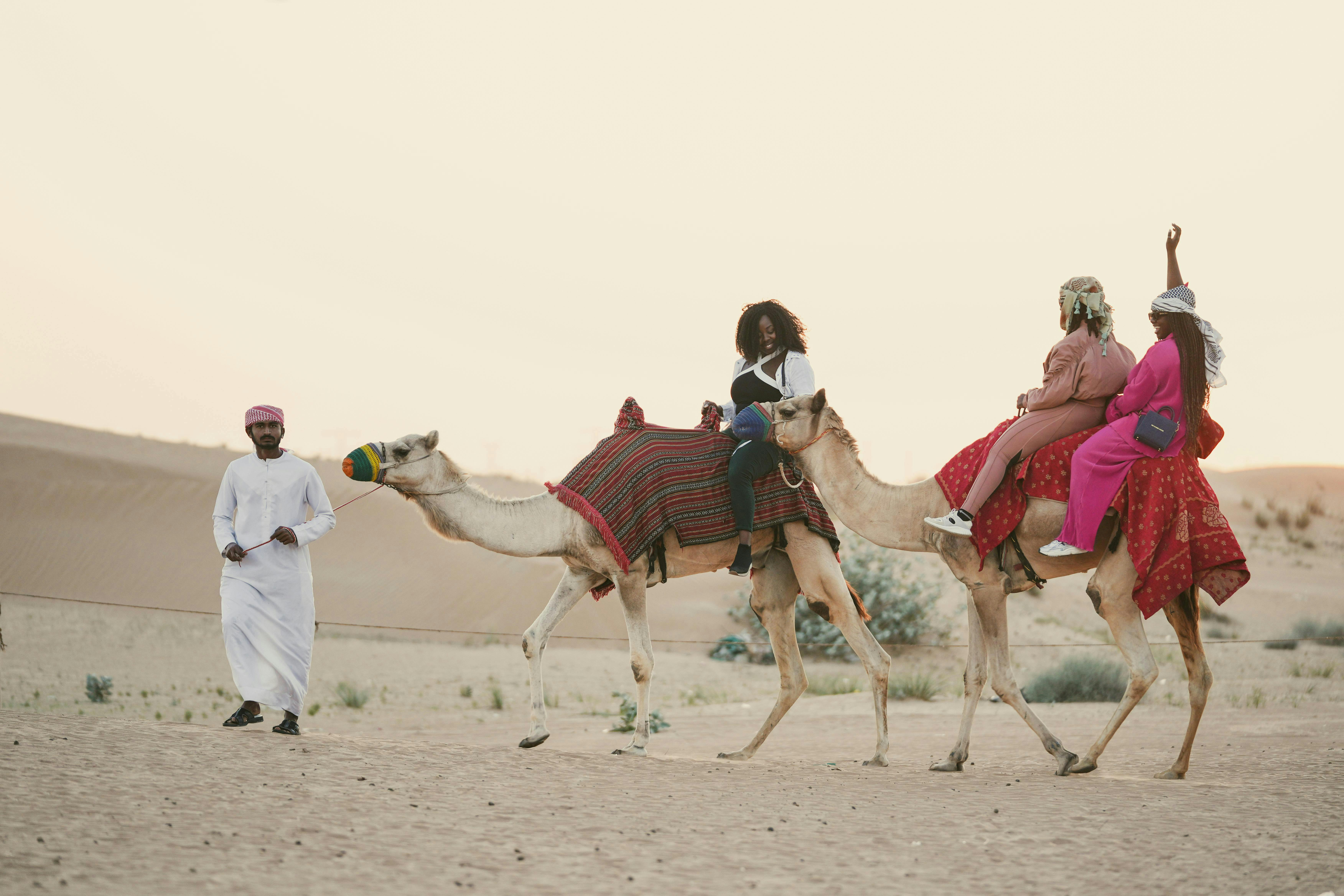 Take a Desert Safari