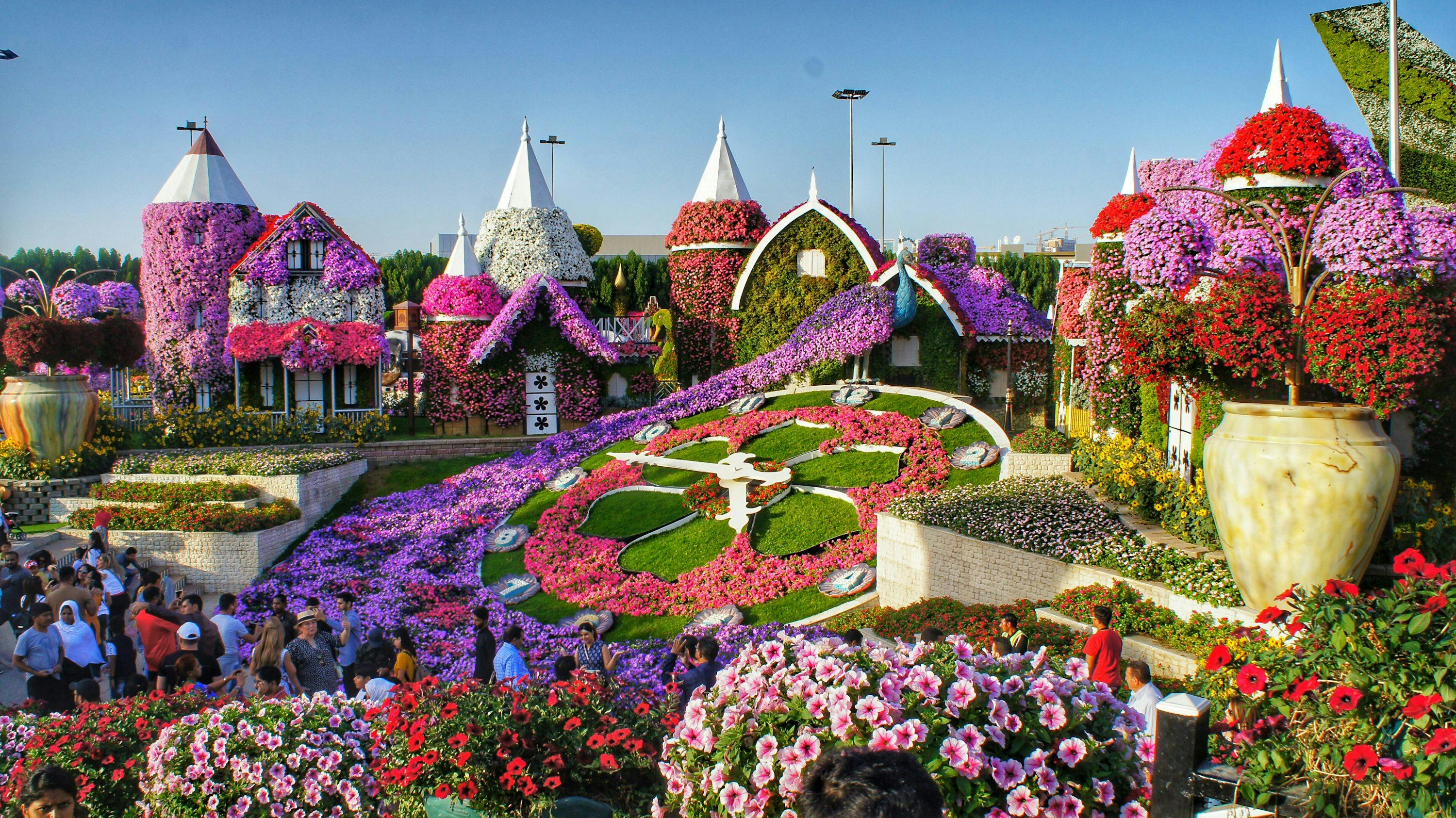 Visit the Dubai Miracle Garden
