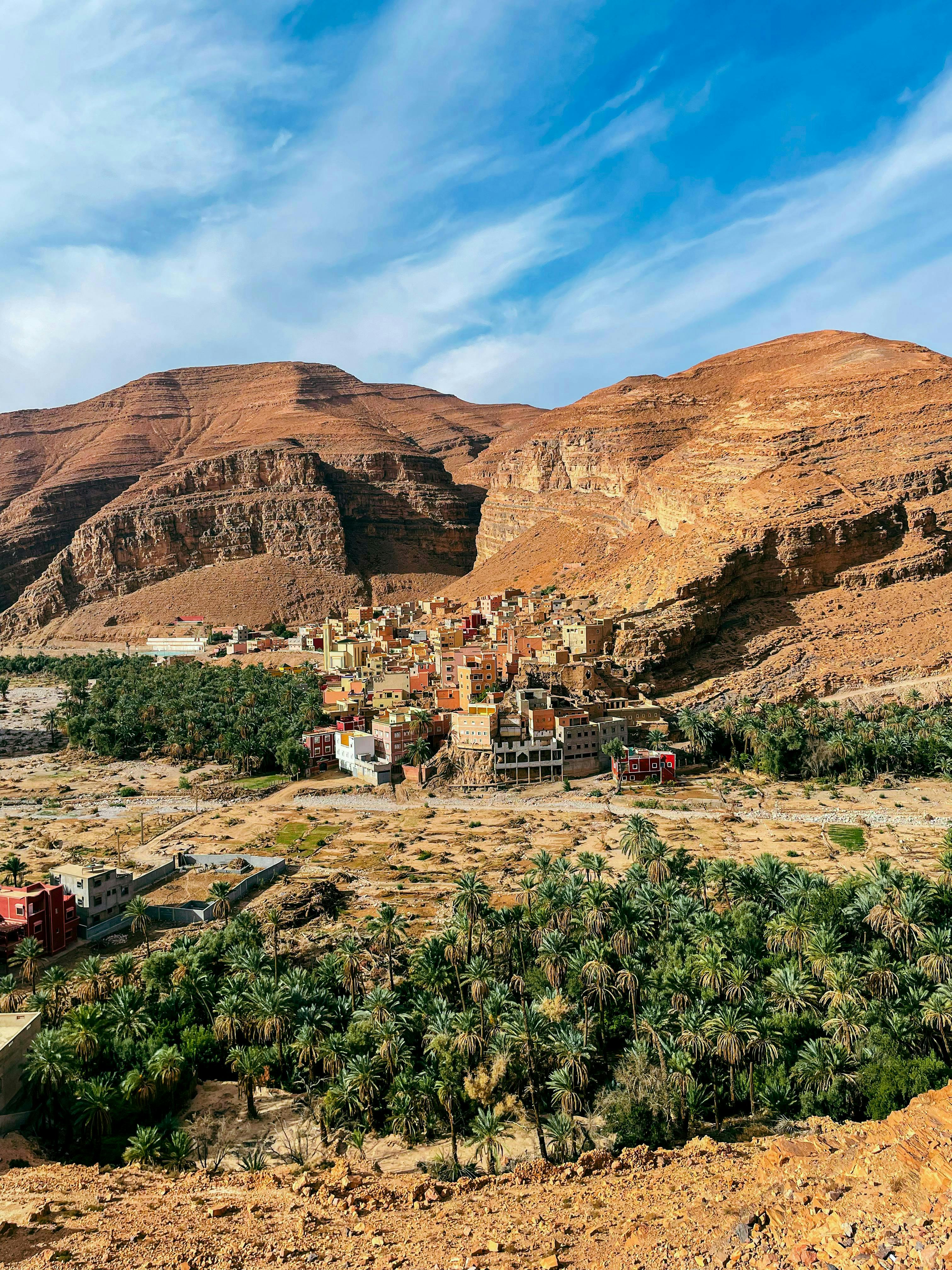 Liwa Oasis