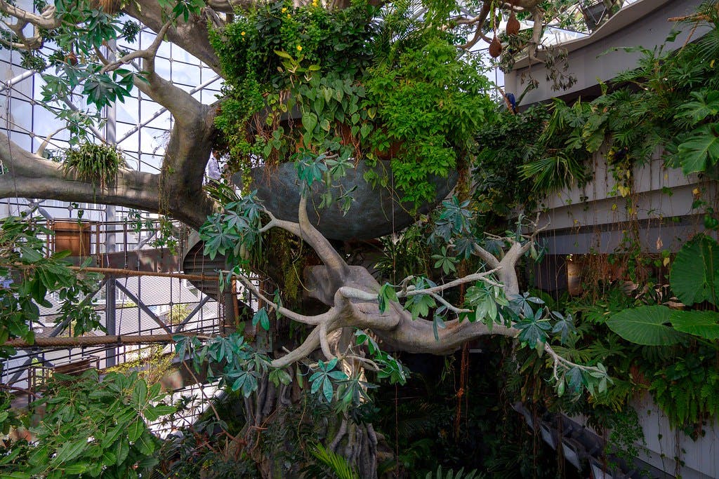 Green Planet – Indoor Rainforest