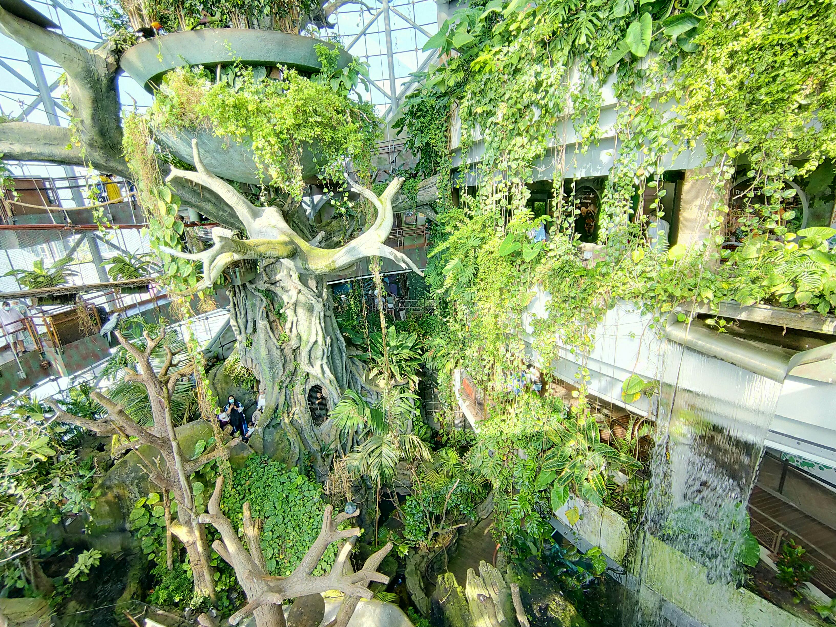 Green Planet Dubai (Indoor Rainforest)