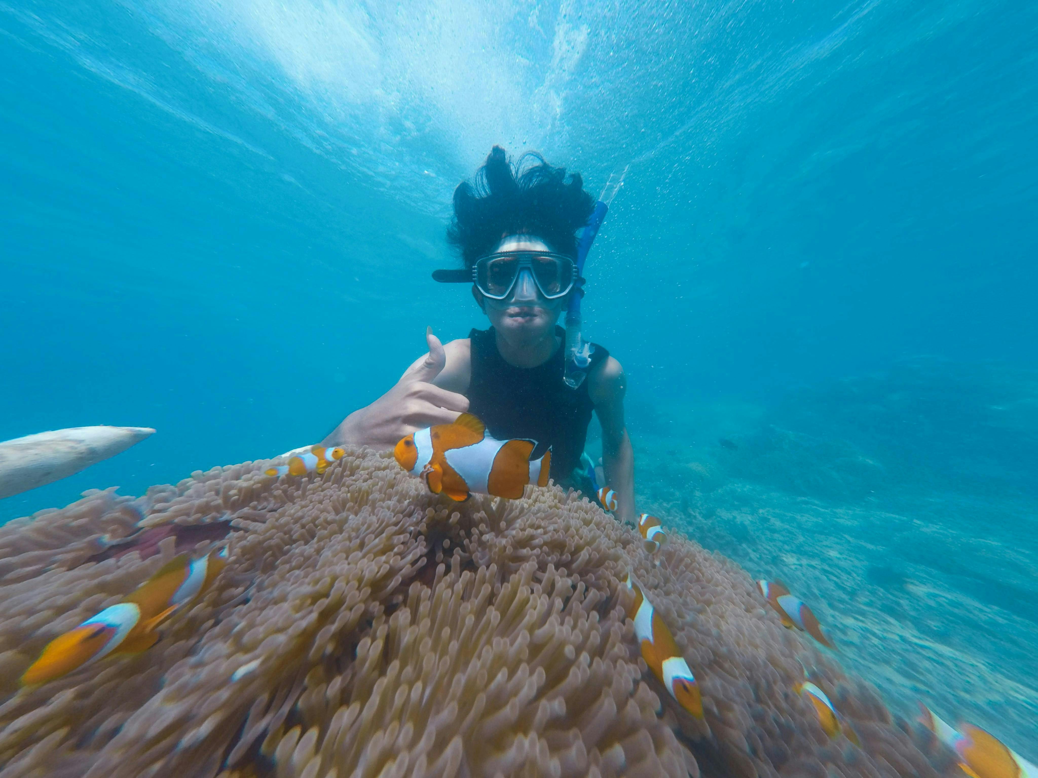 Snorkeling