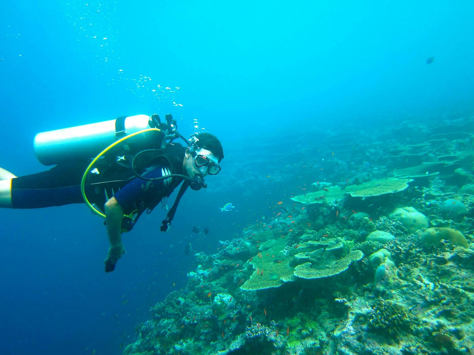 Deep-Sea Diving & Wreck Diving