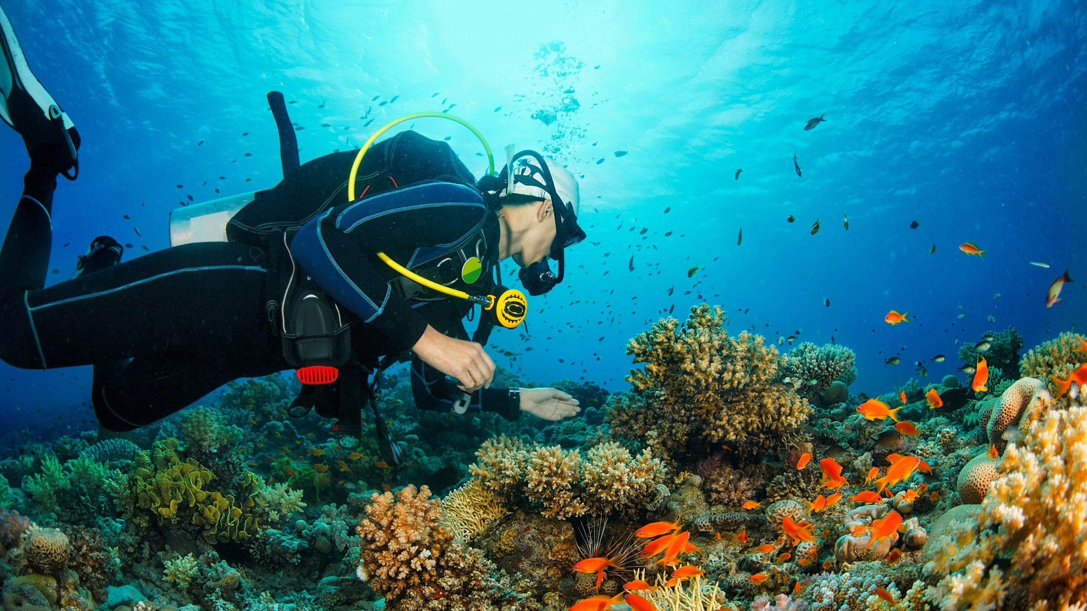 Scuba Dive in the World’s Deepest Pool at Deep Dive Dubai