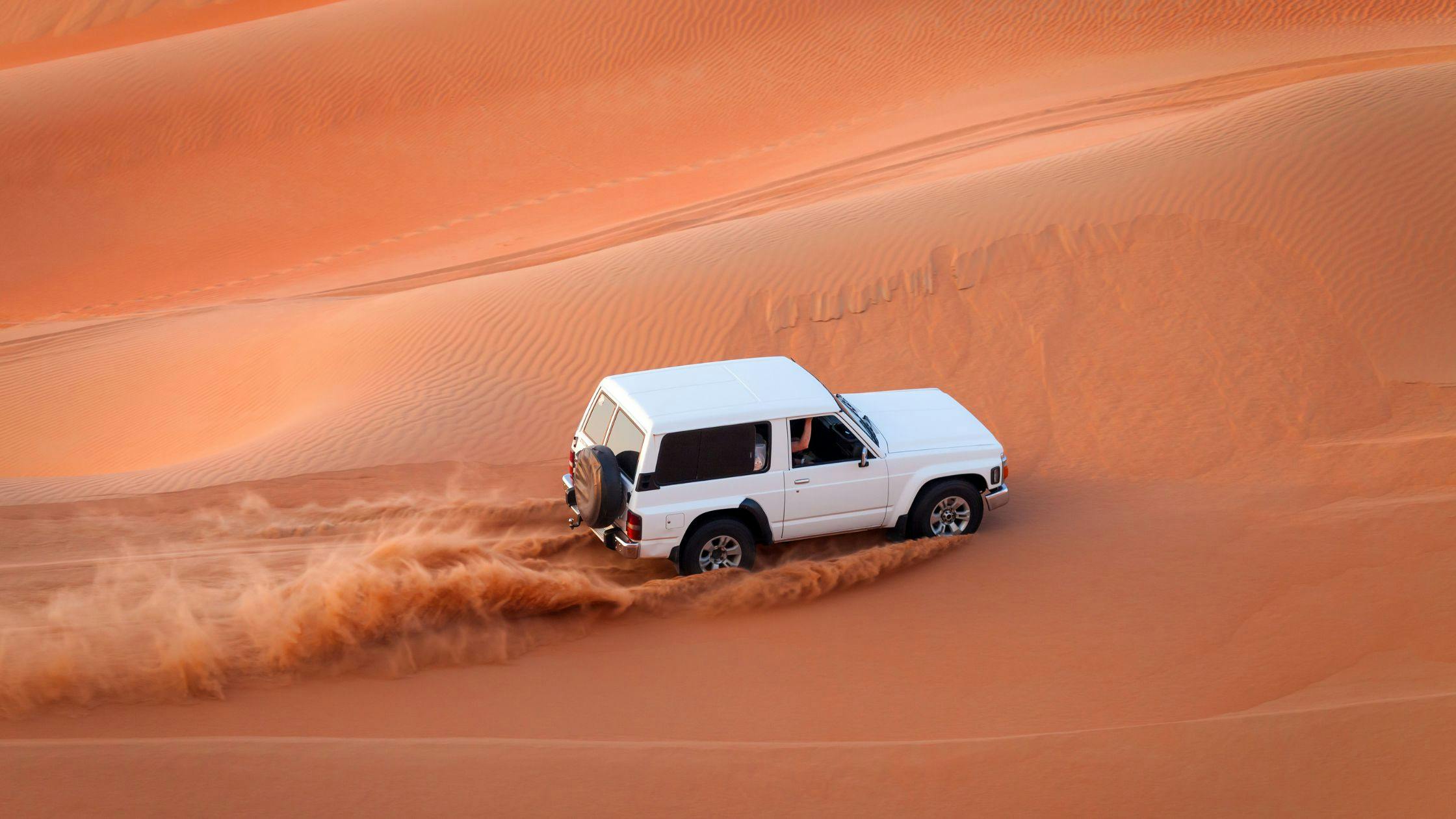 Desert Safari