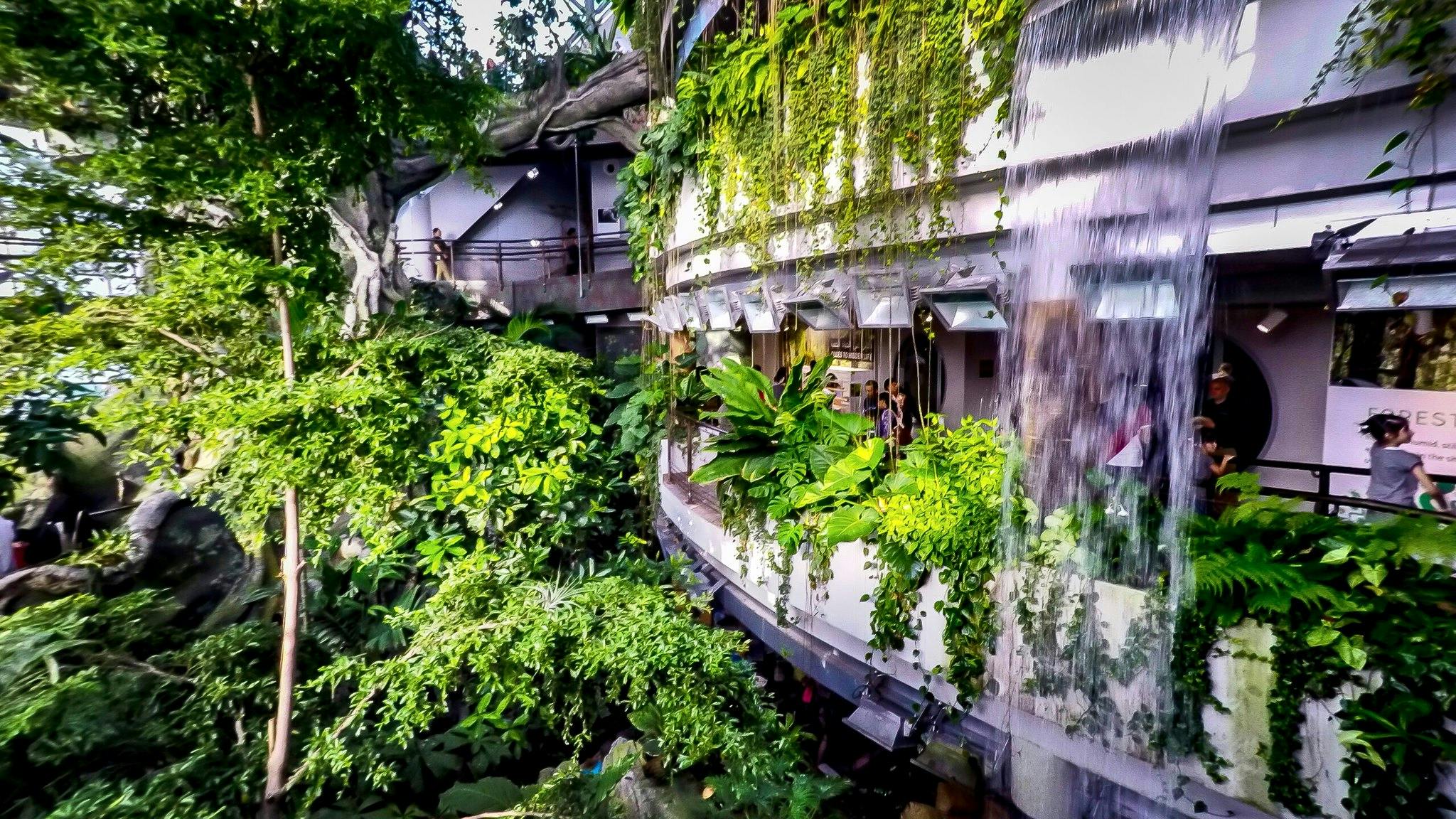 The Green Planet
