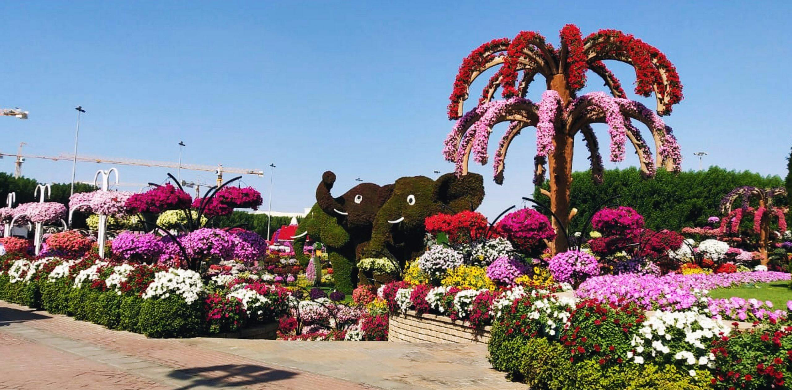 Dubai Miracle Garden