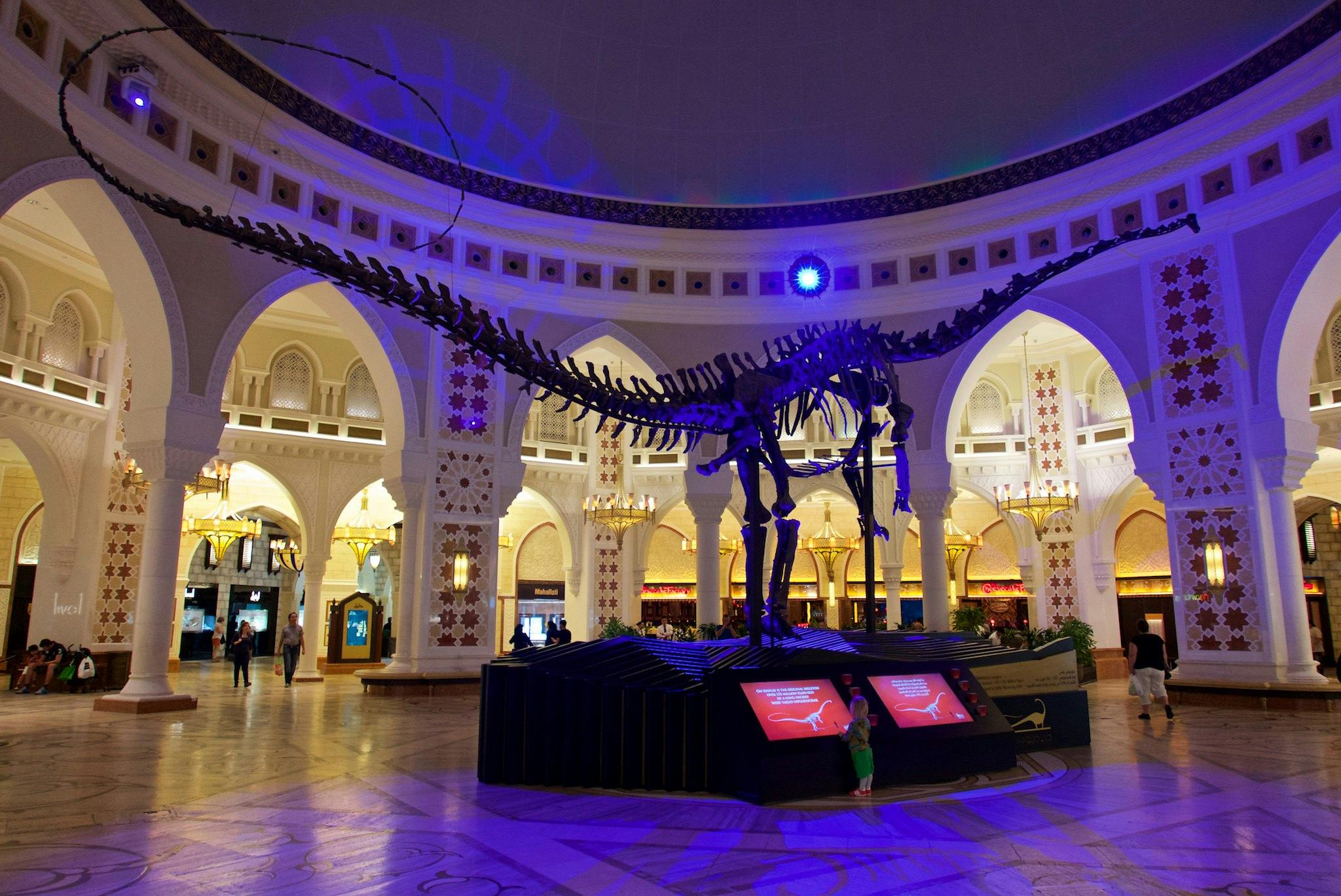 Visit the Dubai Dino – A Real Dinosaur Fossil