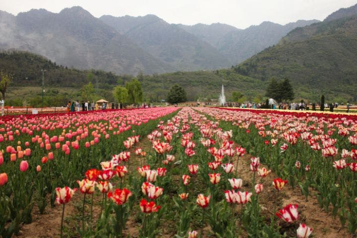Spring Photography Tours