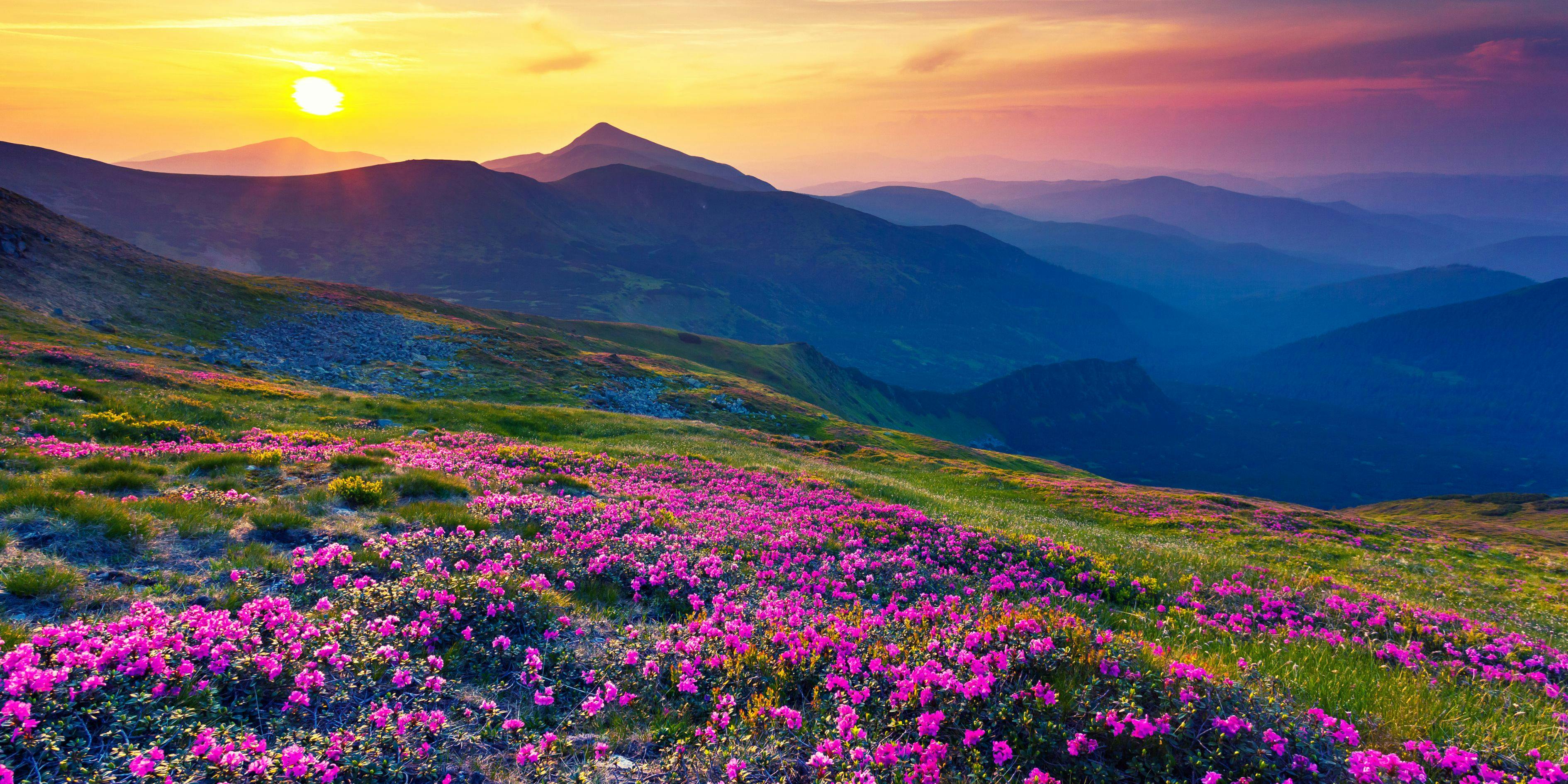 Europe honeymoon packages