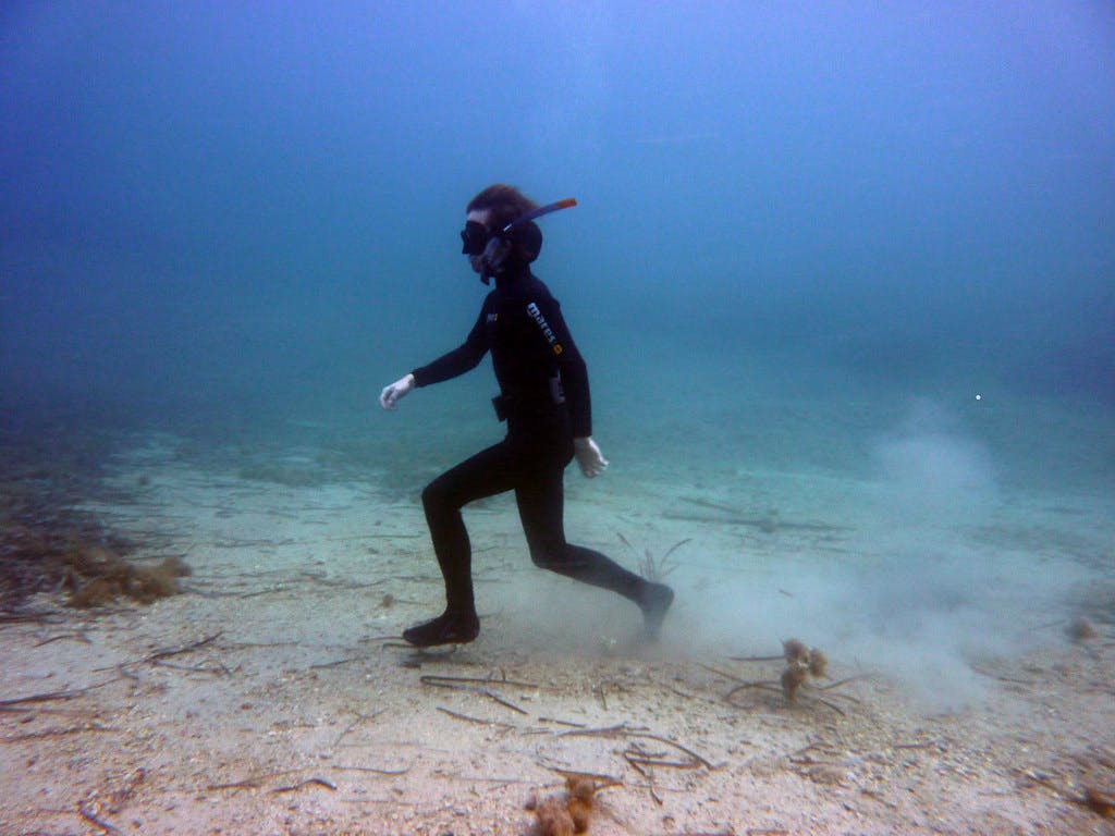 Experience Sea Walking