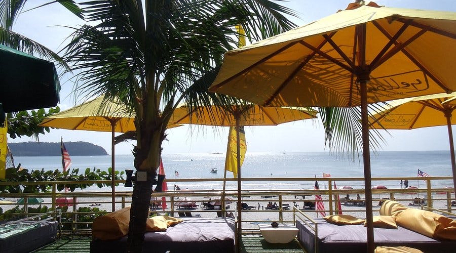 Yellow Cafe