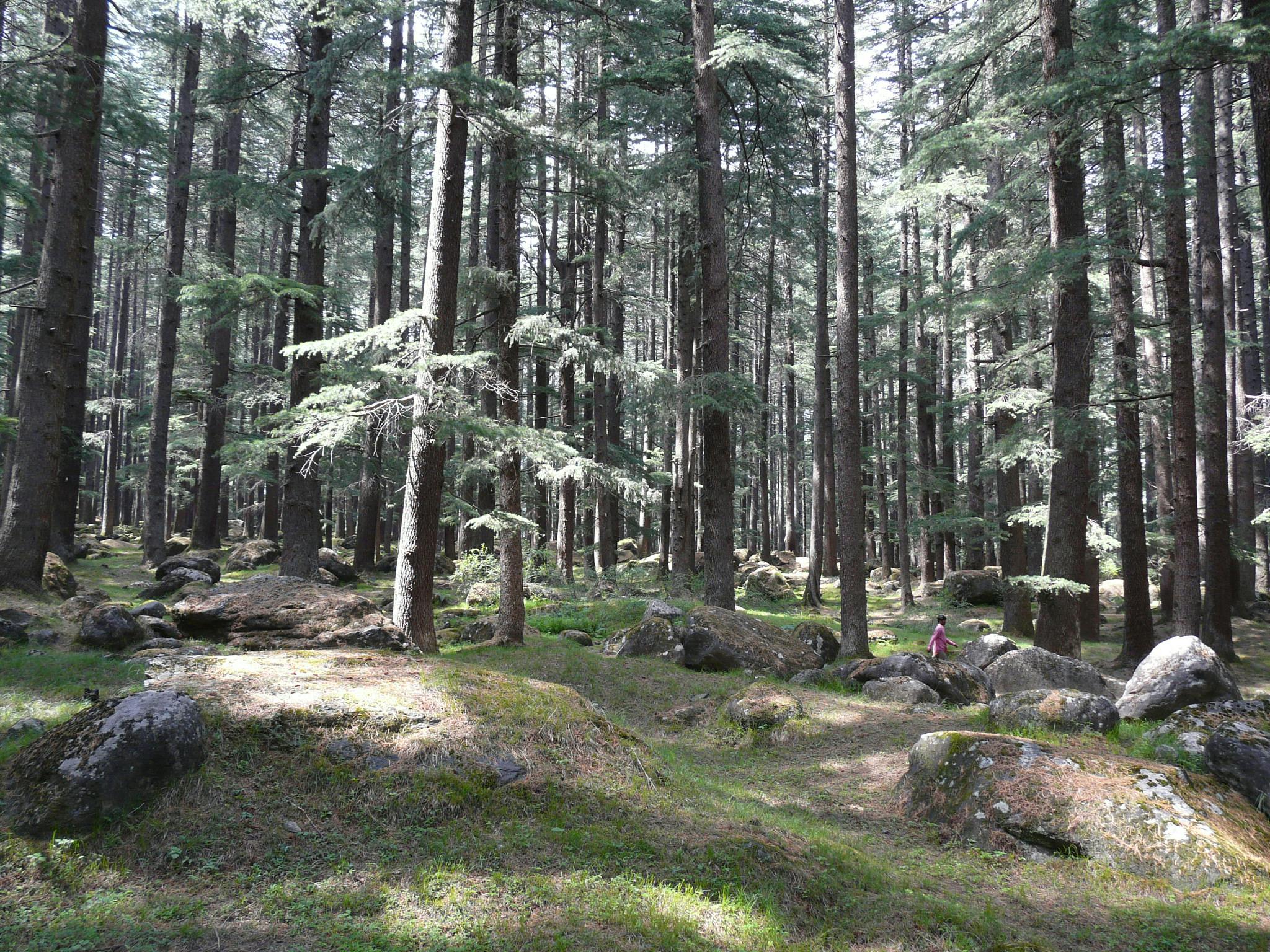 Van Vihar National Park
