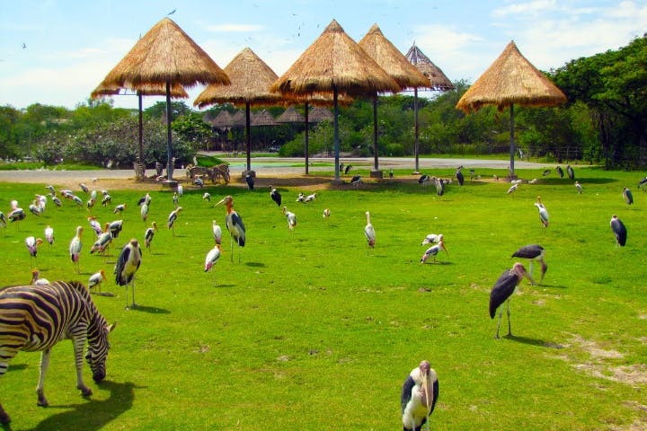 Safari World & Marine Park