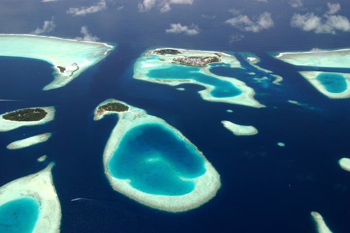 Local Island Exploration