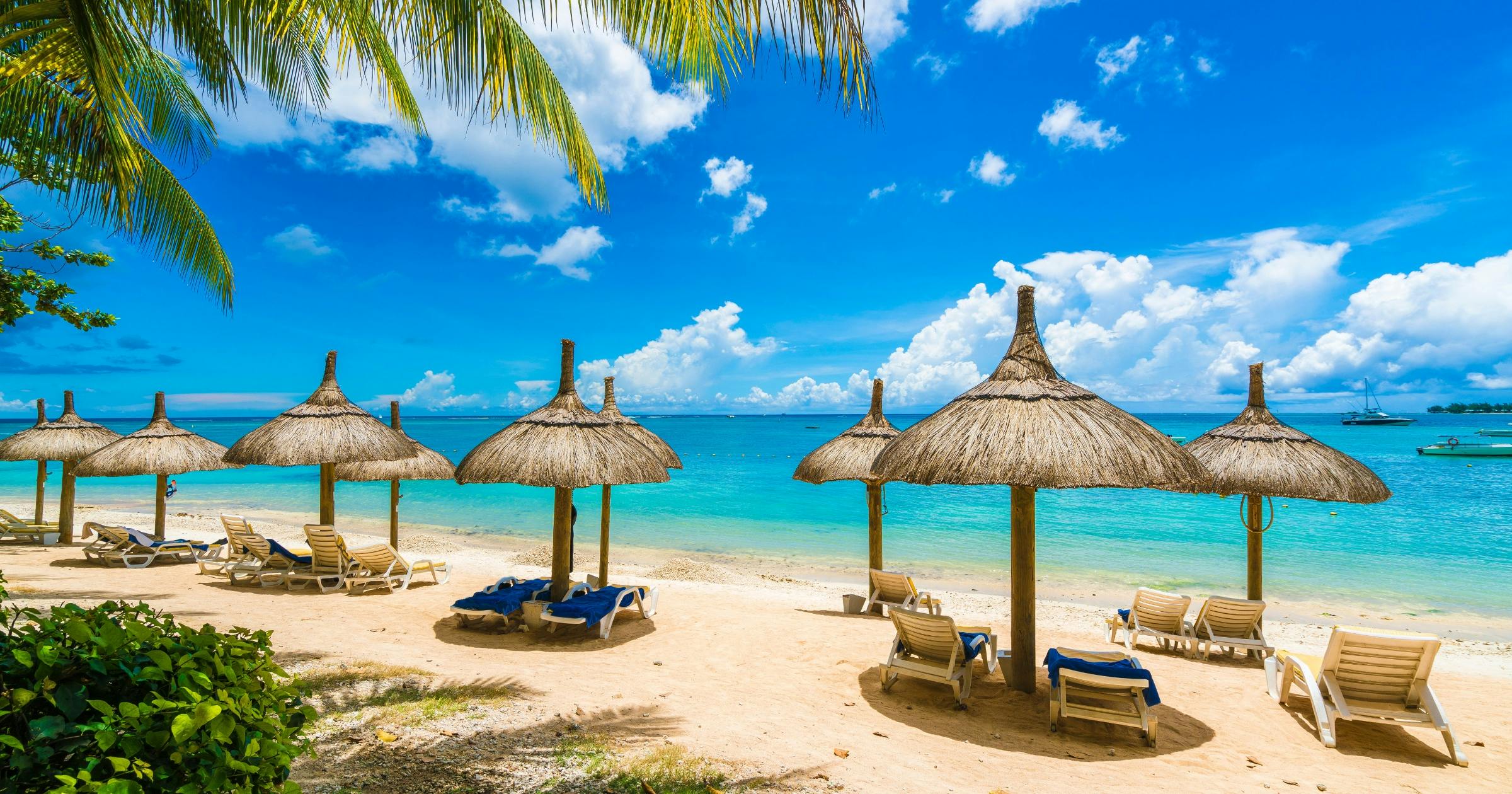 August – Great Budget Deals & Whale Watching