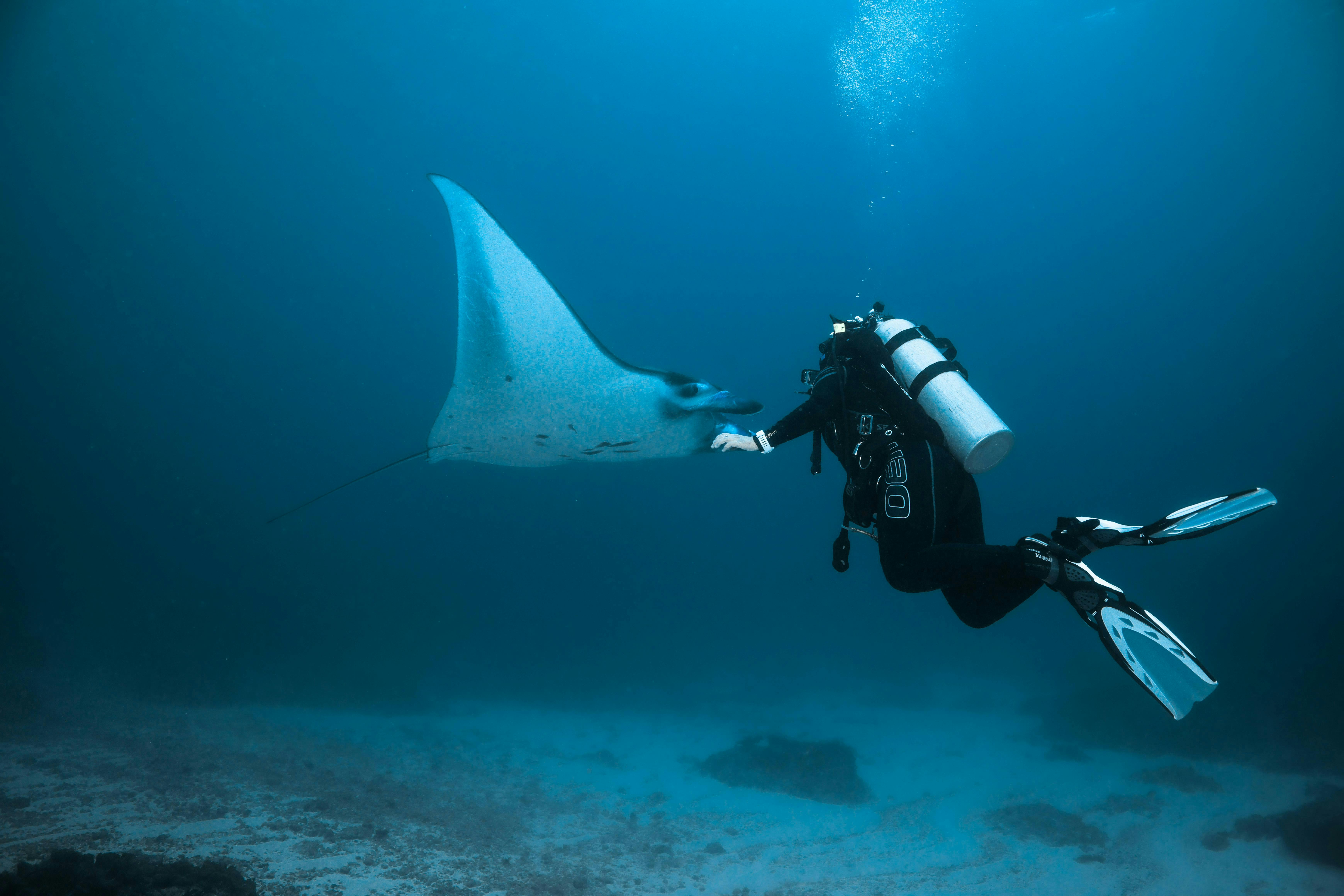 For Diving & Snorkeling