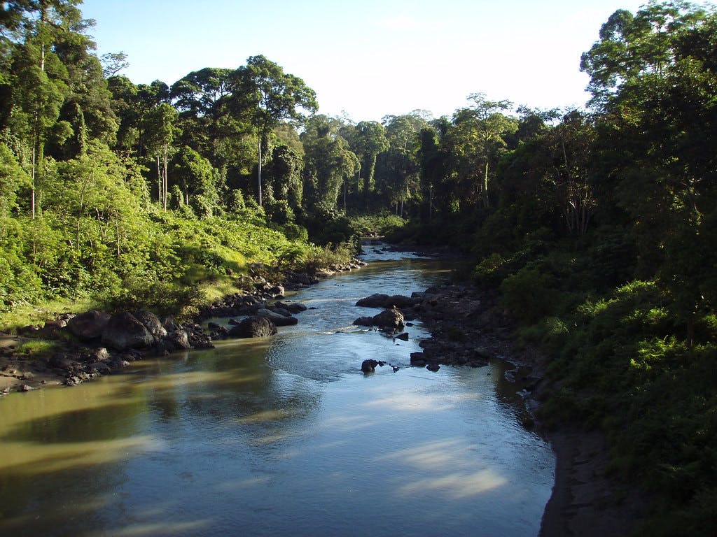 Danum Valley