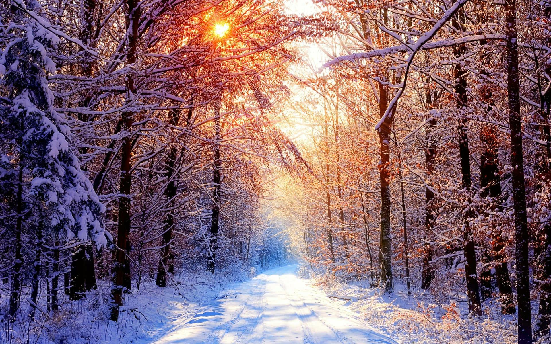 Winter (October to March) Peak Season in Jodhpur