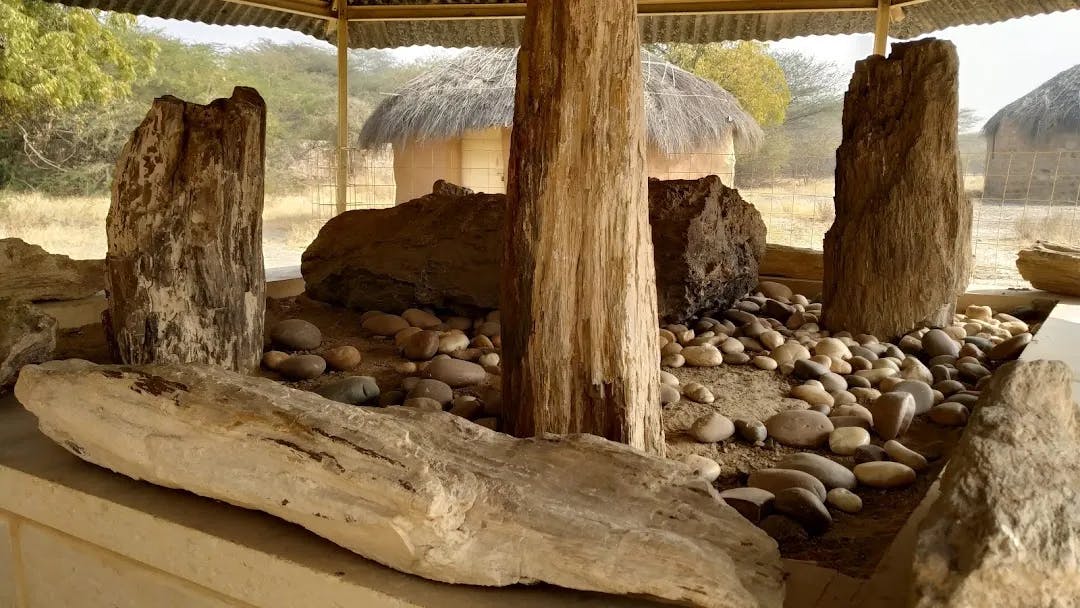 Akal Wood Fossil Park