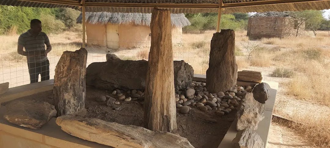 Visit Akal Wood Fossil Park