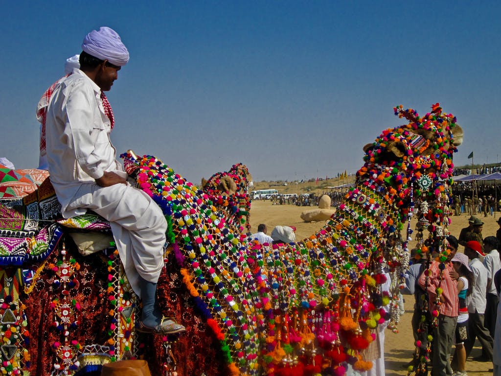 The Desert Festival (January–February)