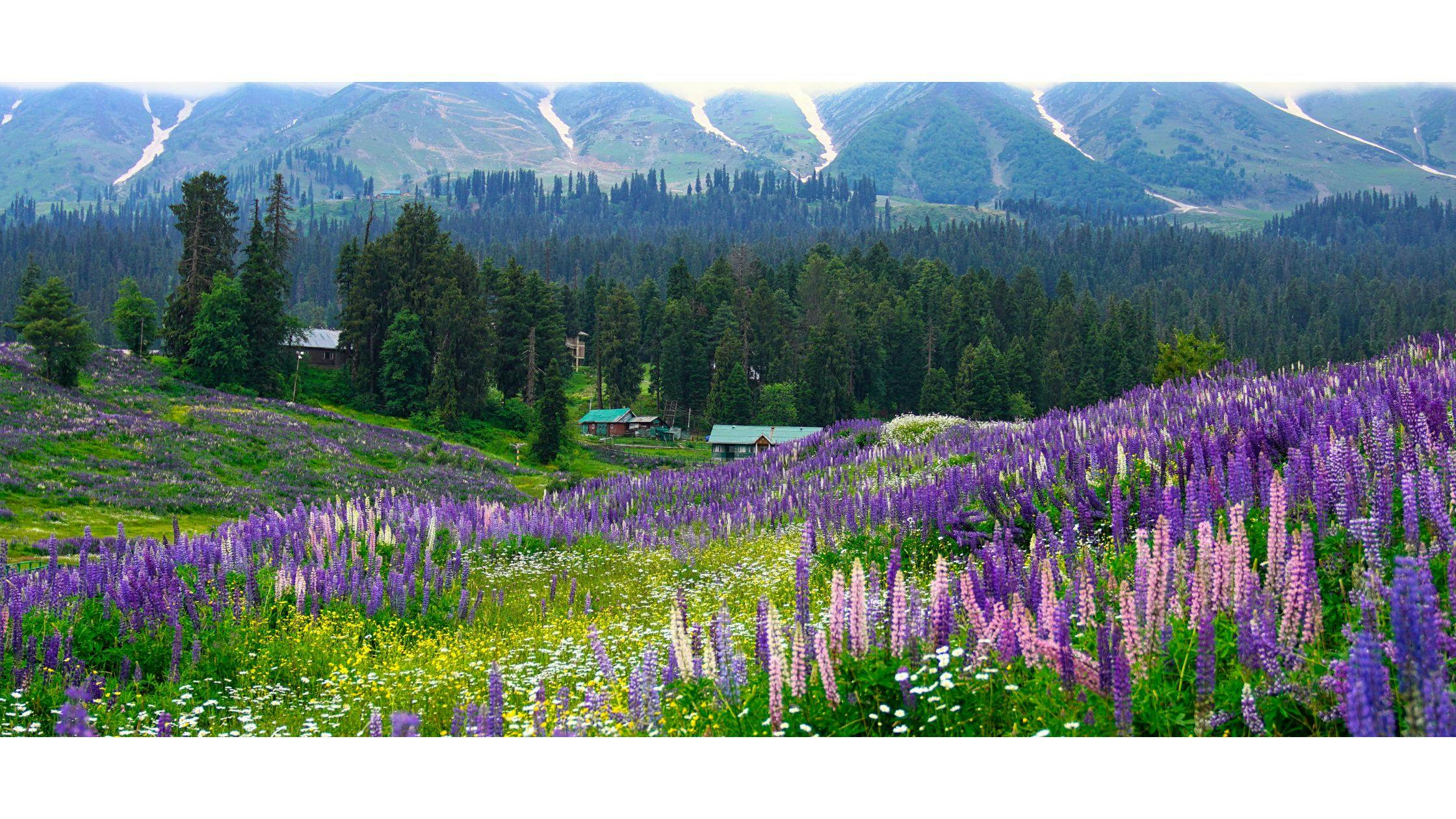 Kupwara
