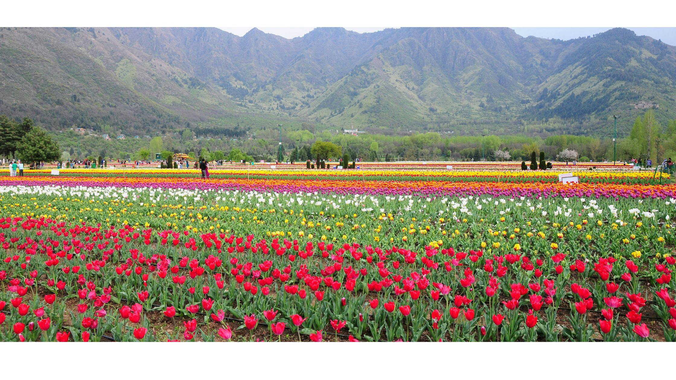 Beautiful Thailand Landscape