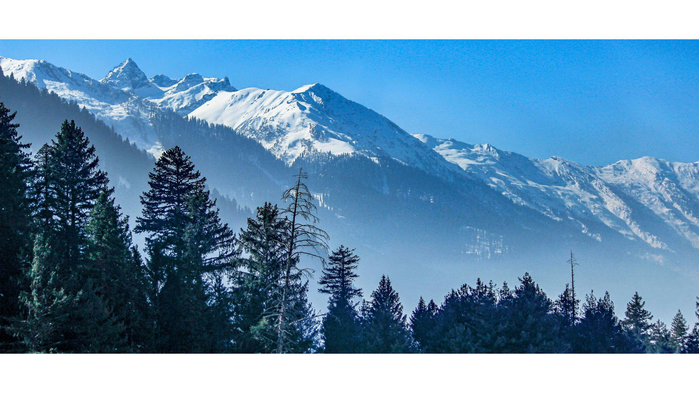 Patnitop