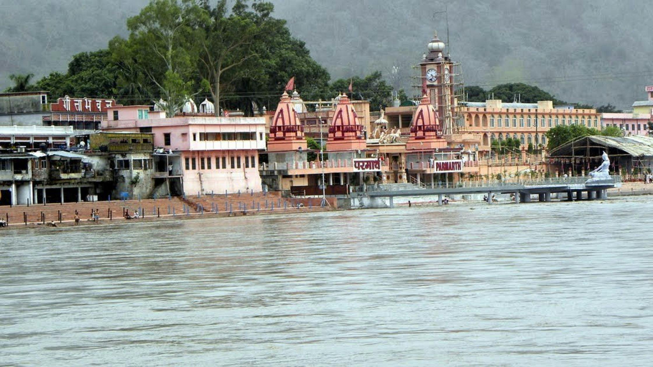 Rishikesh Food Costs: Street Food vs. Restaurant Dining