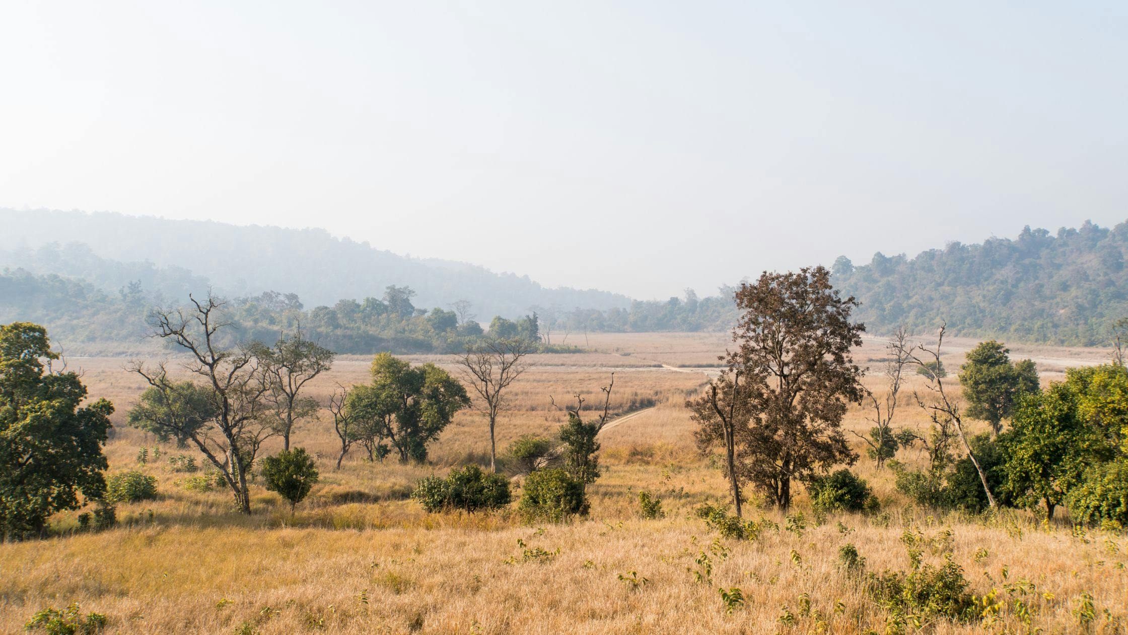 Rajaji National Park (Near Rishikesh) – A Wild Escape into Nature