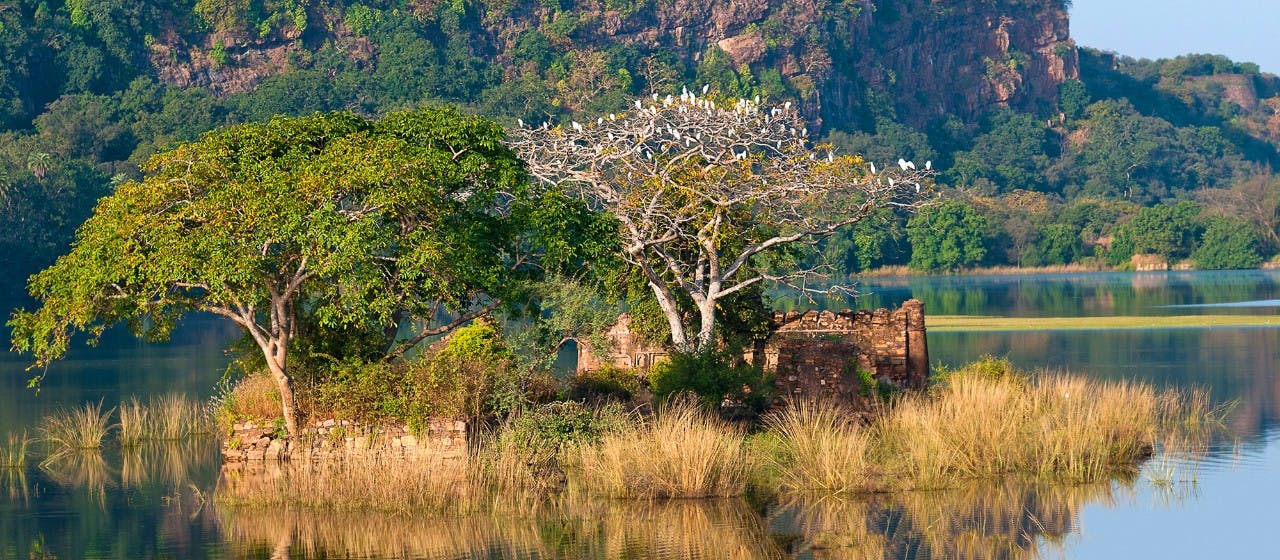 Beautiful Thailand Landscape