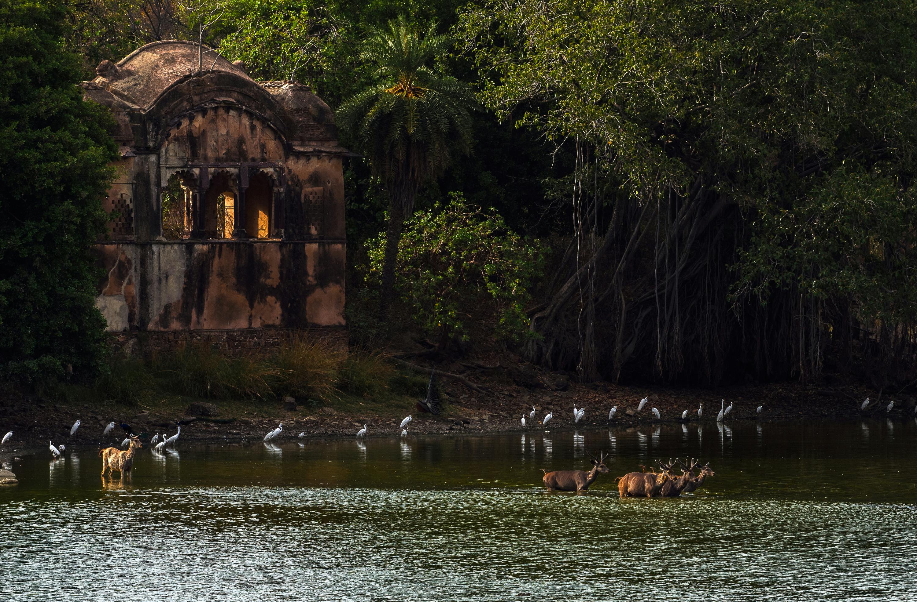 Raj Bagh Ruins
