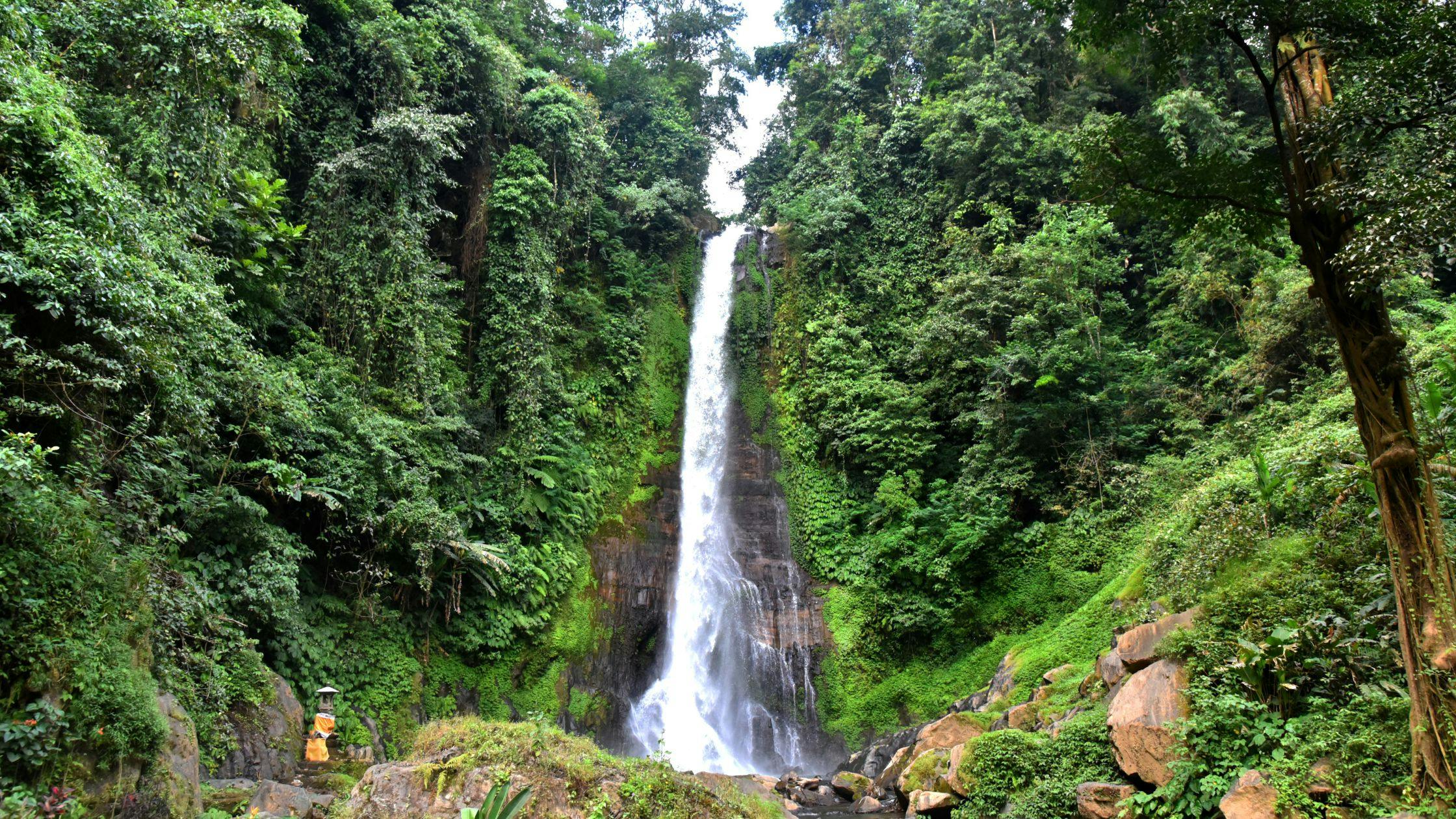 Trek to Gitgit Waterfall