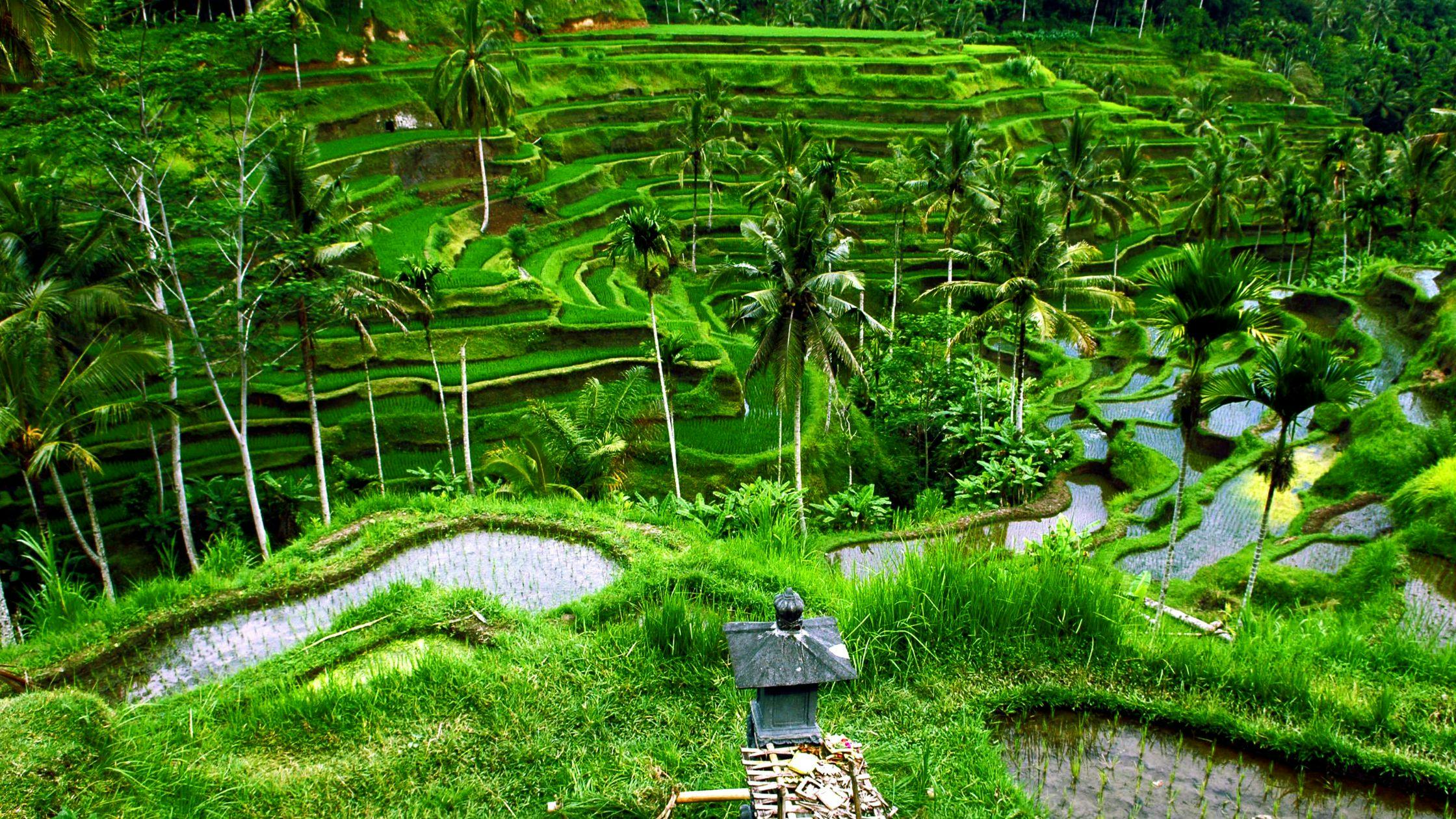 Best Photography Spots