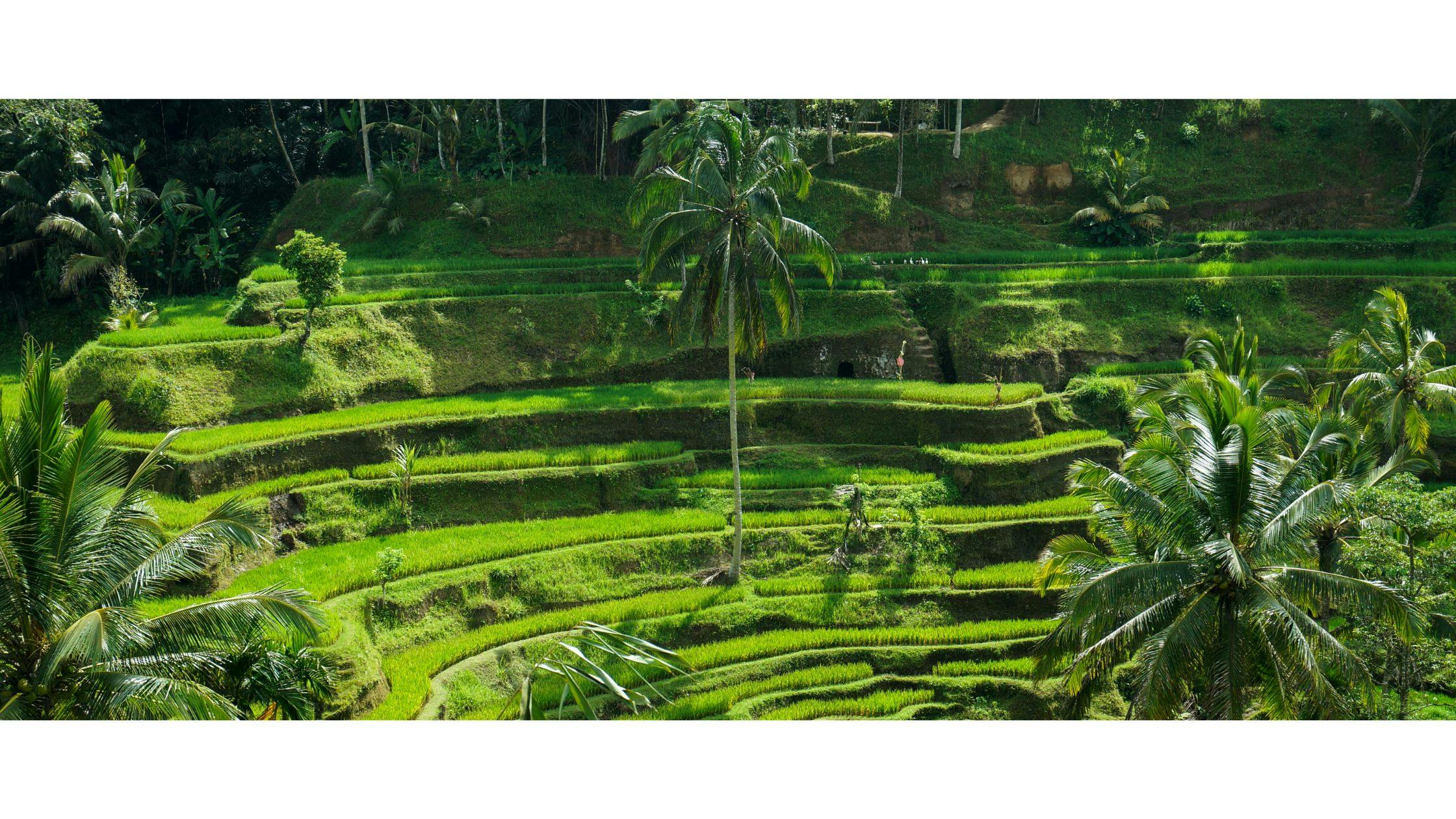 Beautiful Thailand Landscape
