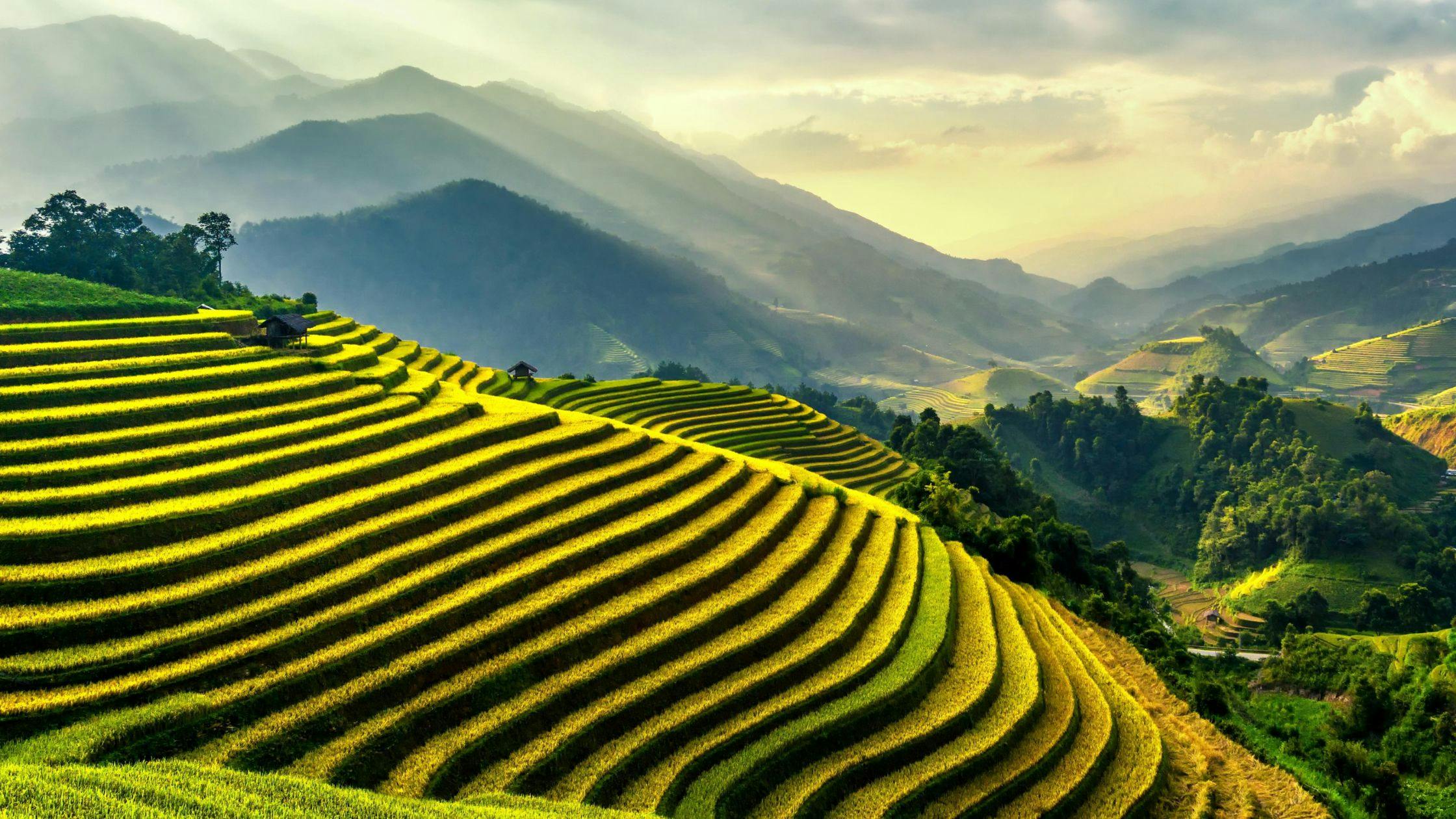 Walk the Rice Field Trails