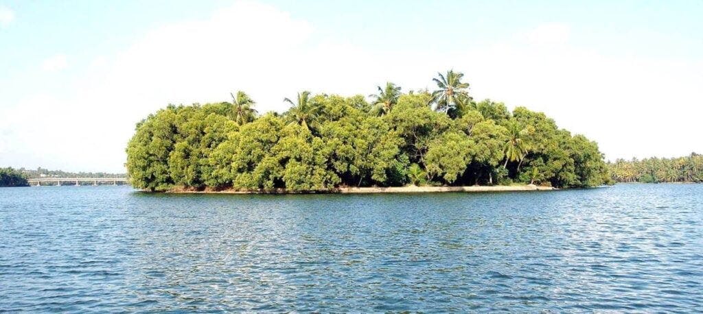Ponnumthuruthu Island