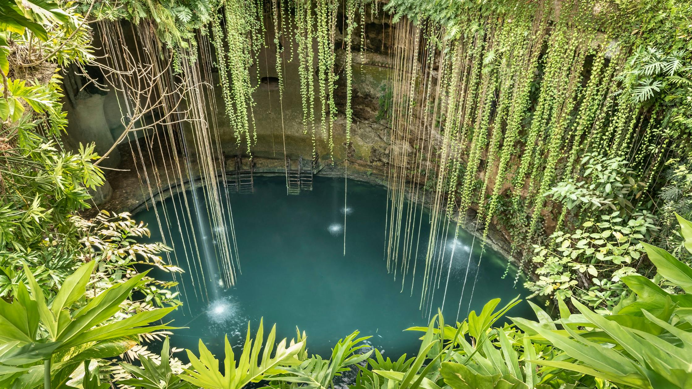 Swim in the Cenotes of the Yucatán Peninsula