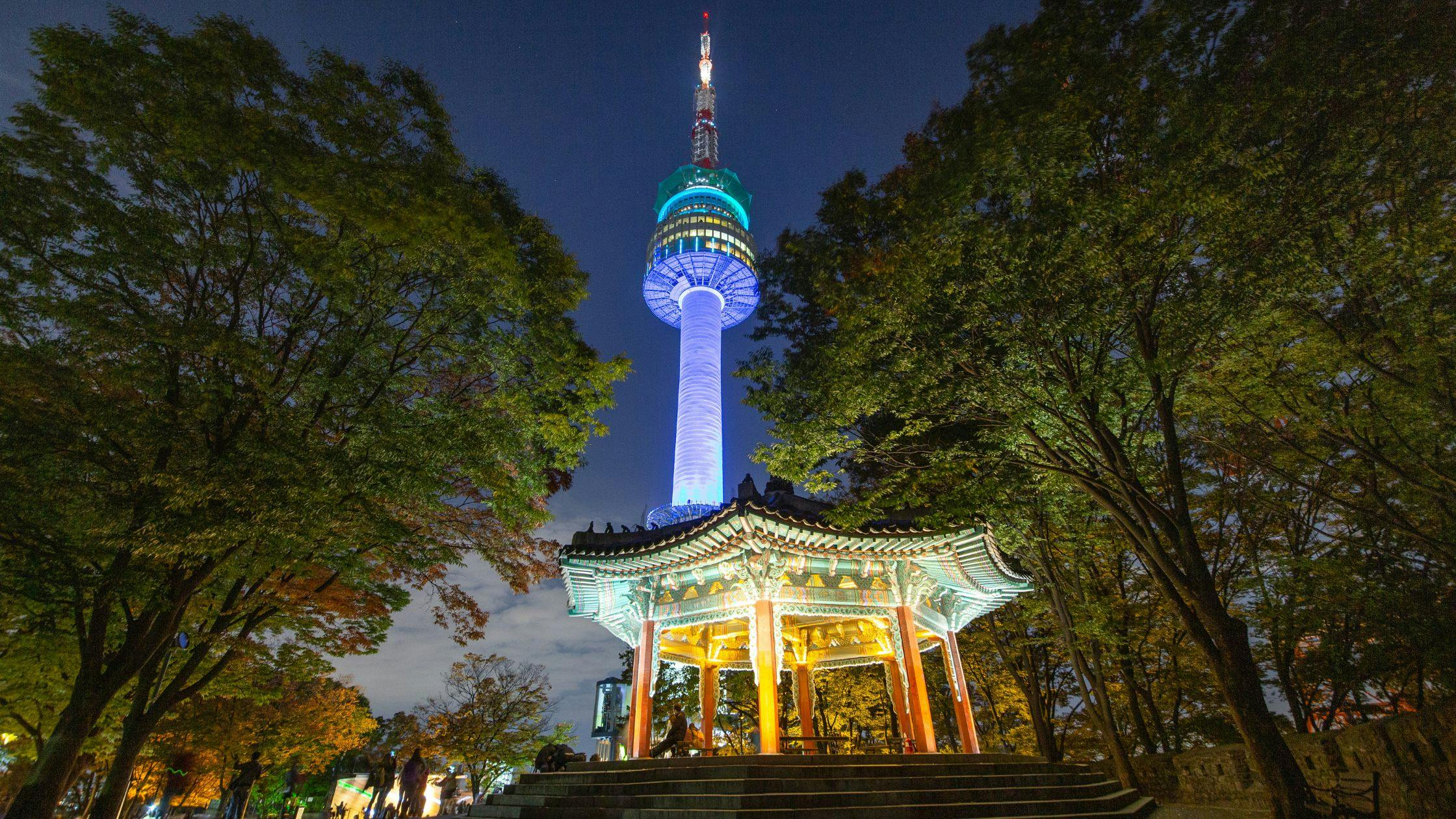 Admire the View from N Seoul Tower
