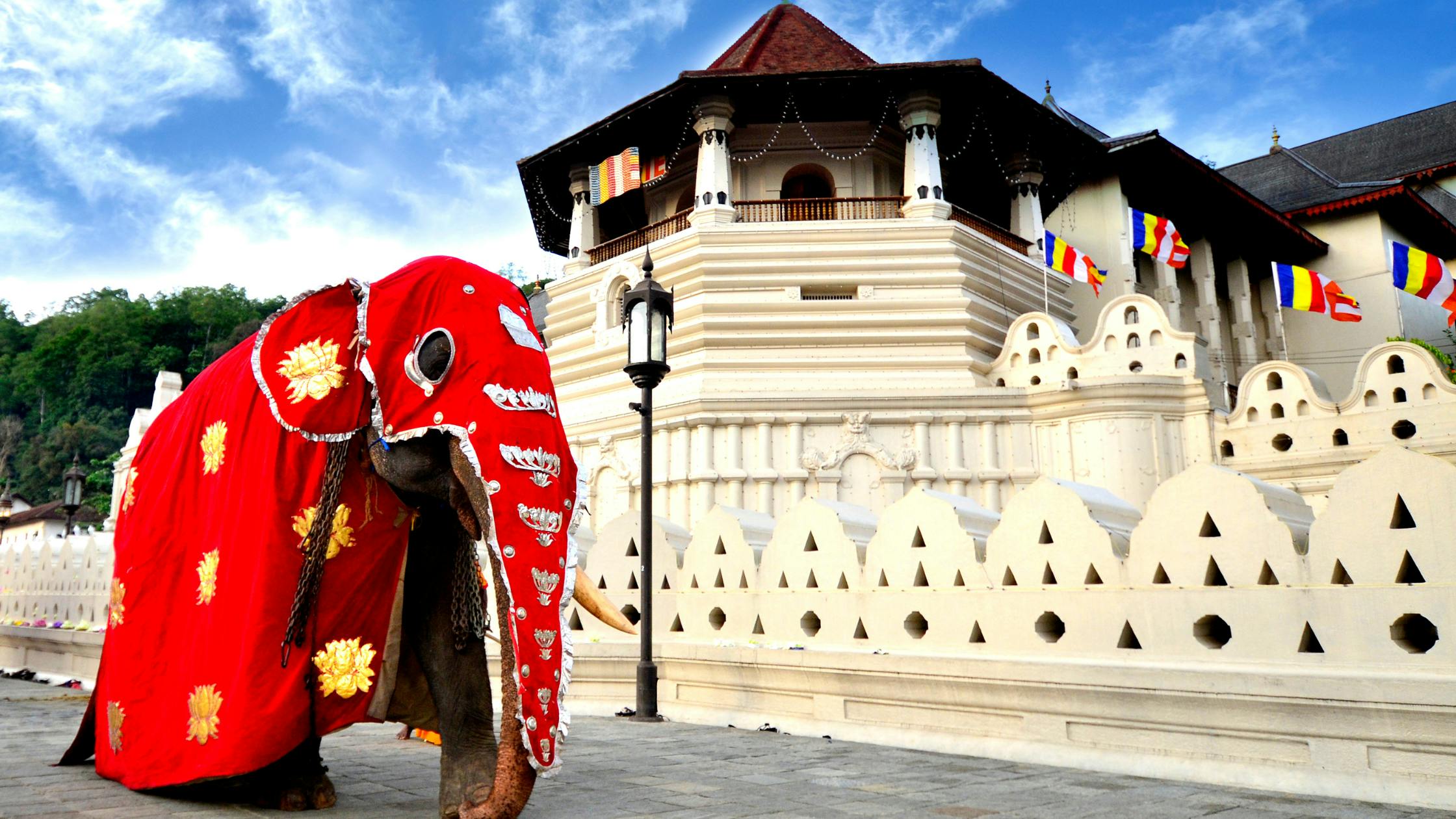Sri Sockalingum Meenatchee Ammen Temple (Blue Temple)