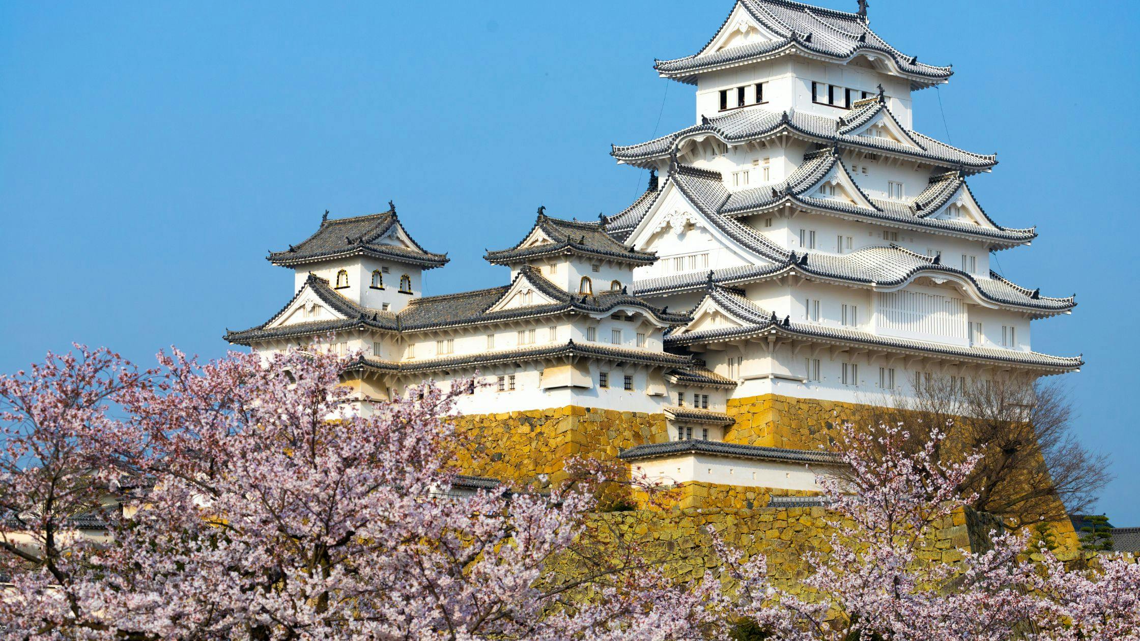Osaka – Japan’s Kitchen