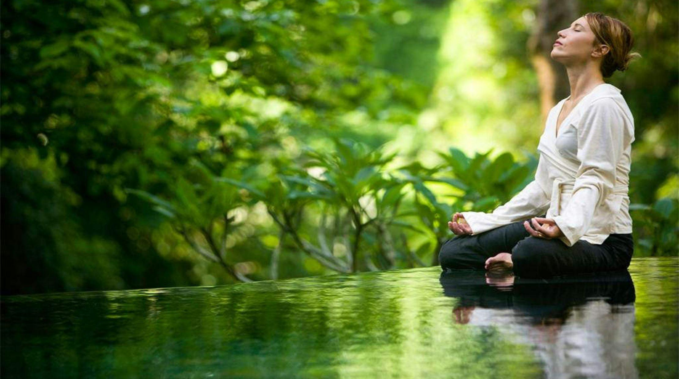 Take a Yoga or Wellness Class