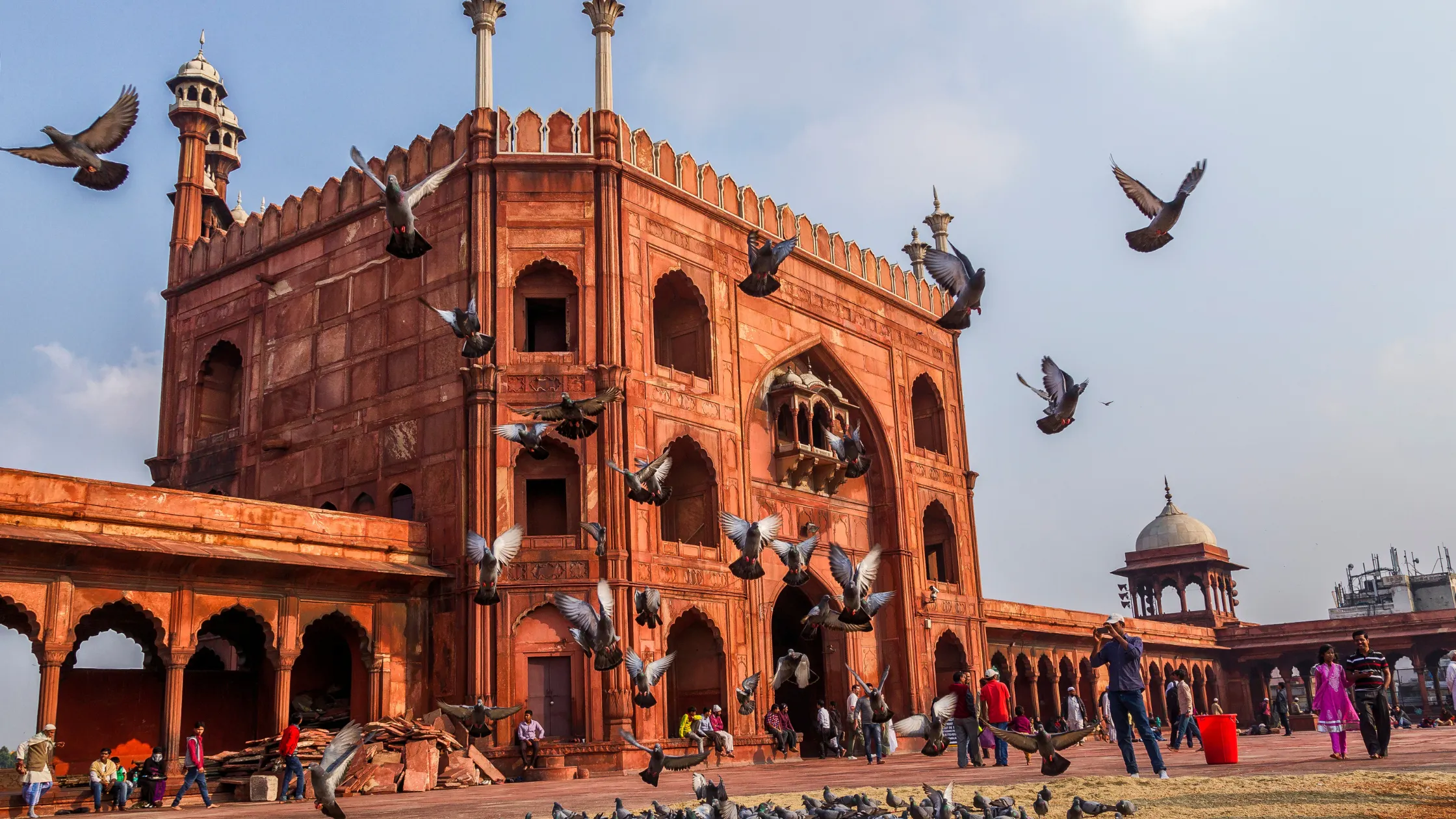 Royal Ranthom Wildlife Escape to Ranthambore and Royal Cities Tour