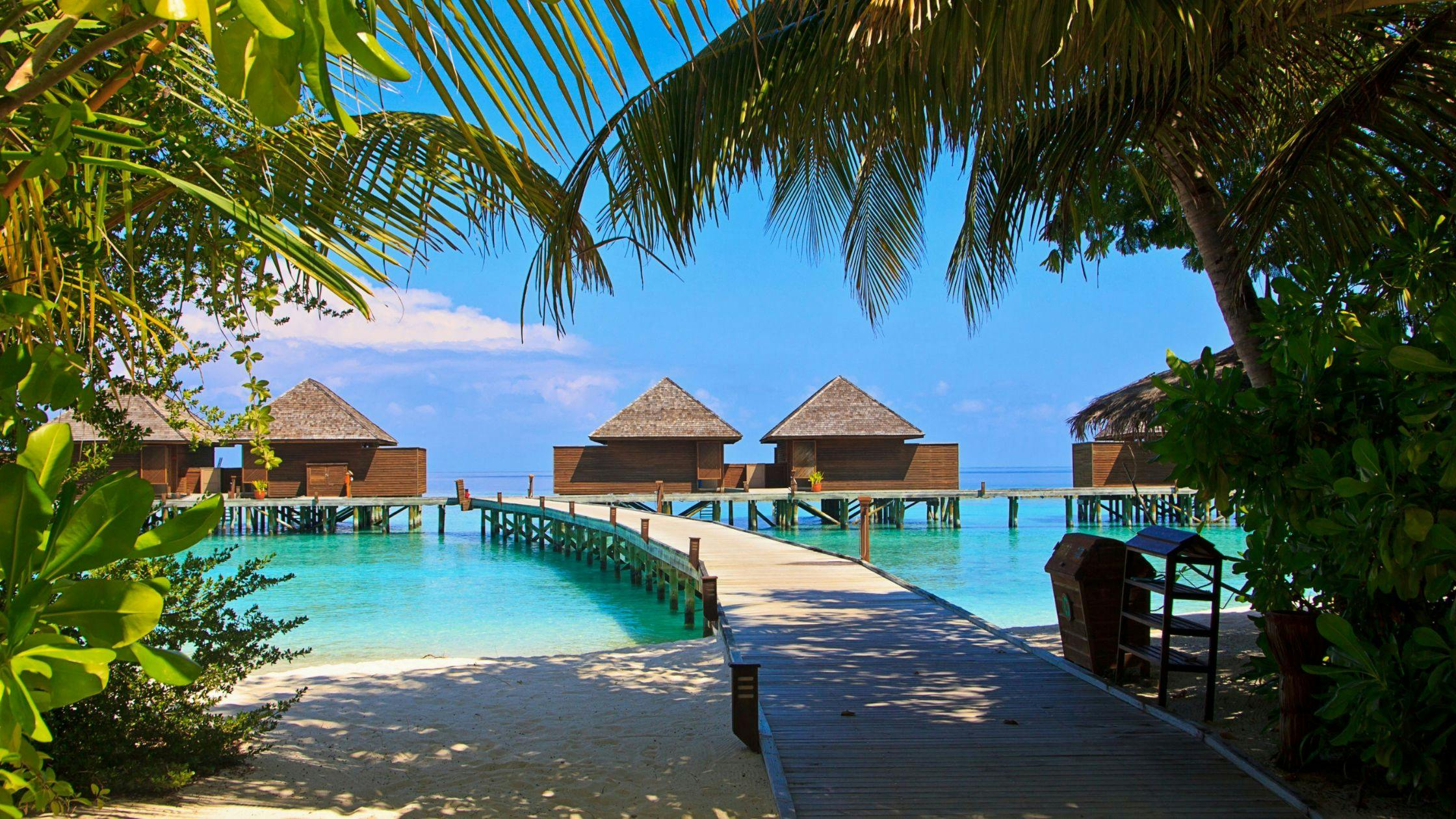 Island Hopping Adventures