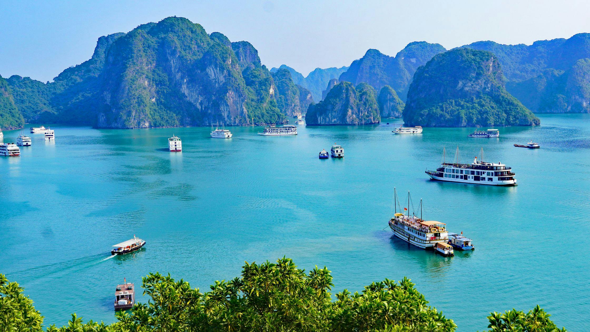 Cruise Through Ha Long Bay