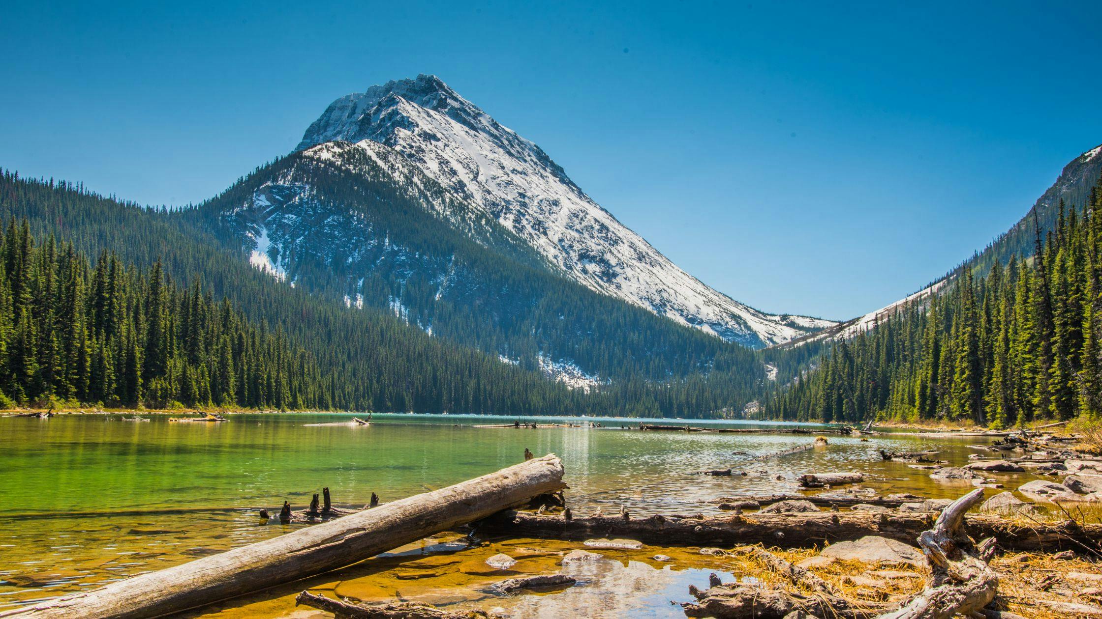 Drive the Stunning Icefields Parkway & Explore Jasper National Park