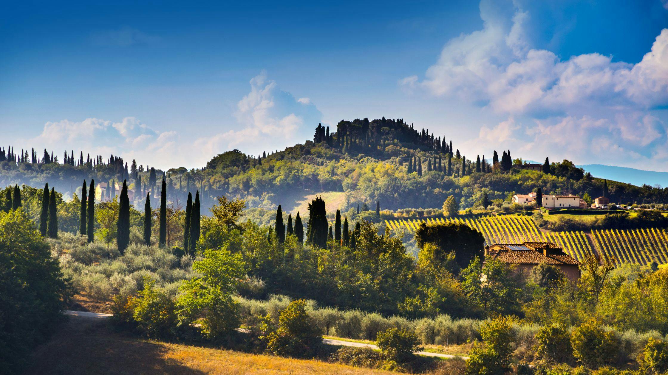 Tuscany – Rolling Hills & Vineyards