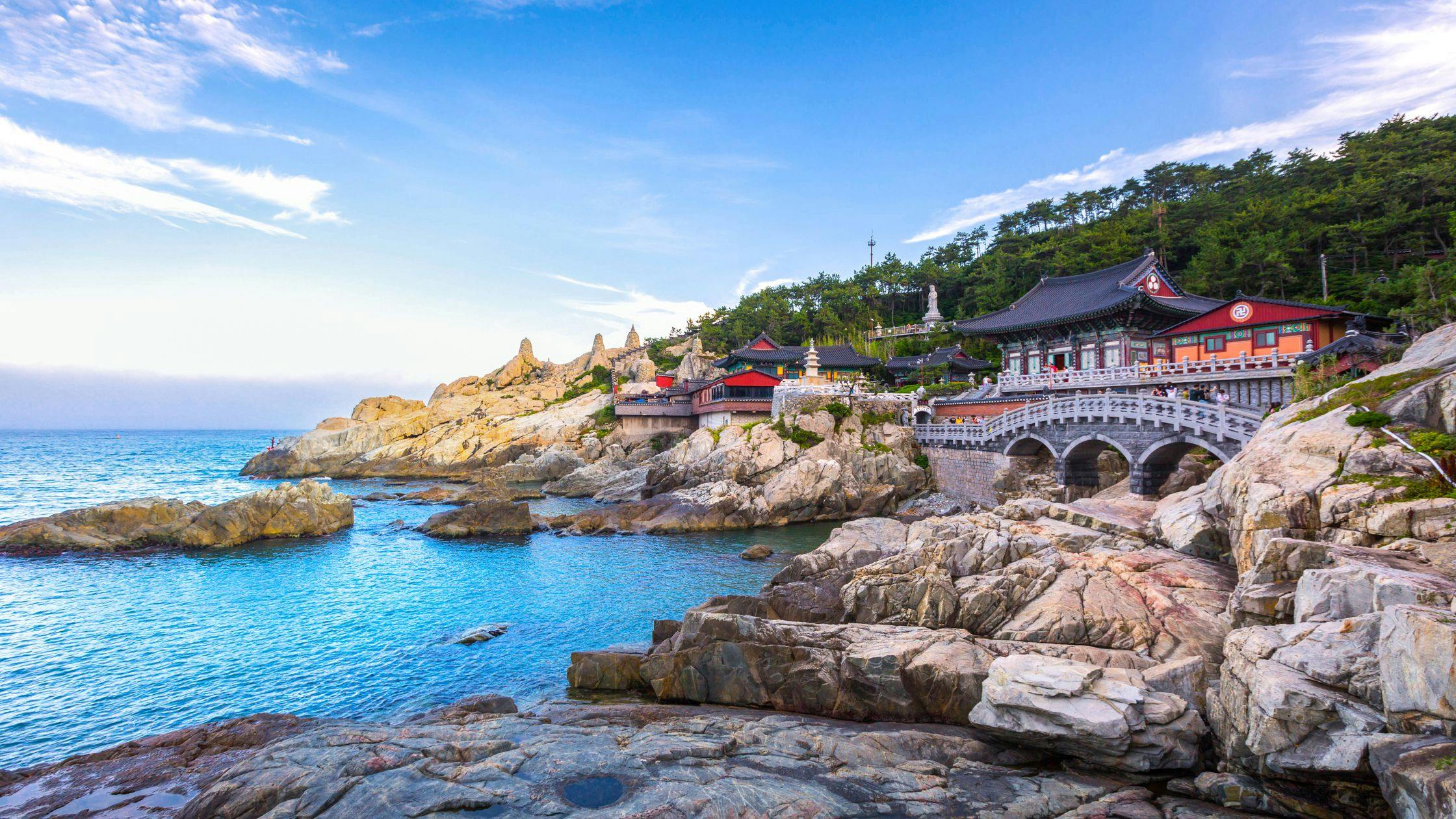 Busan – Coastal Beach Paradise